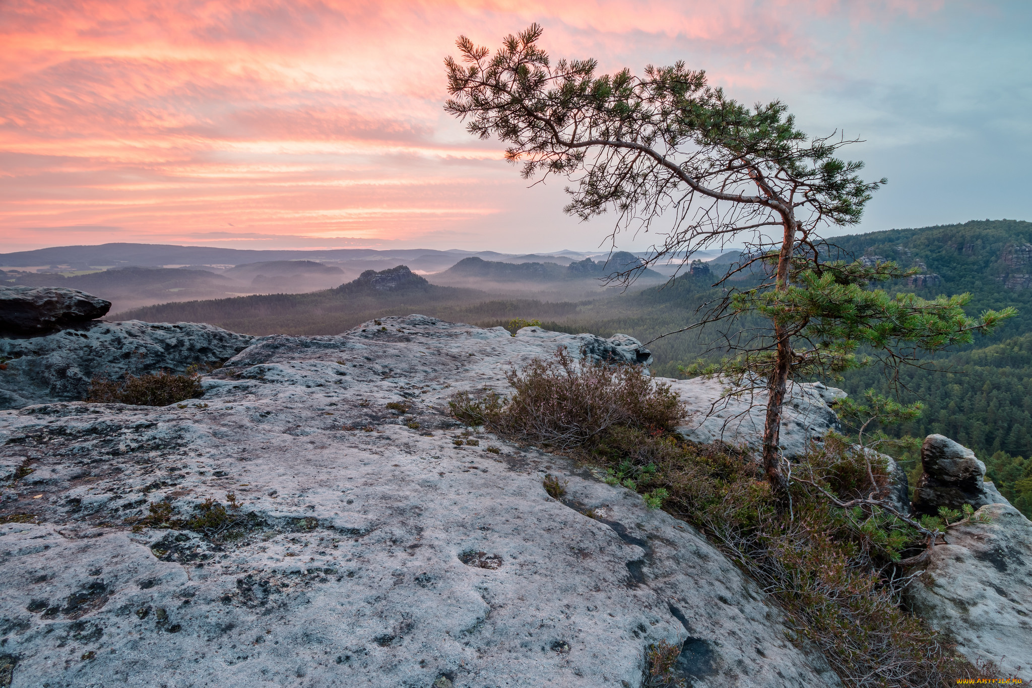 природа, деревья, простор