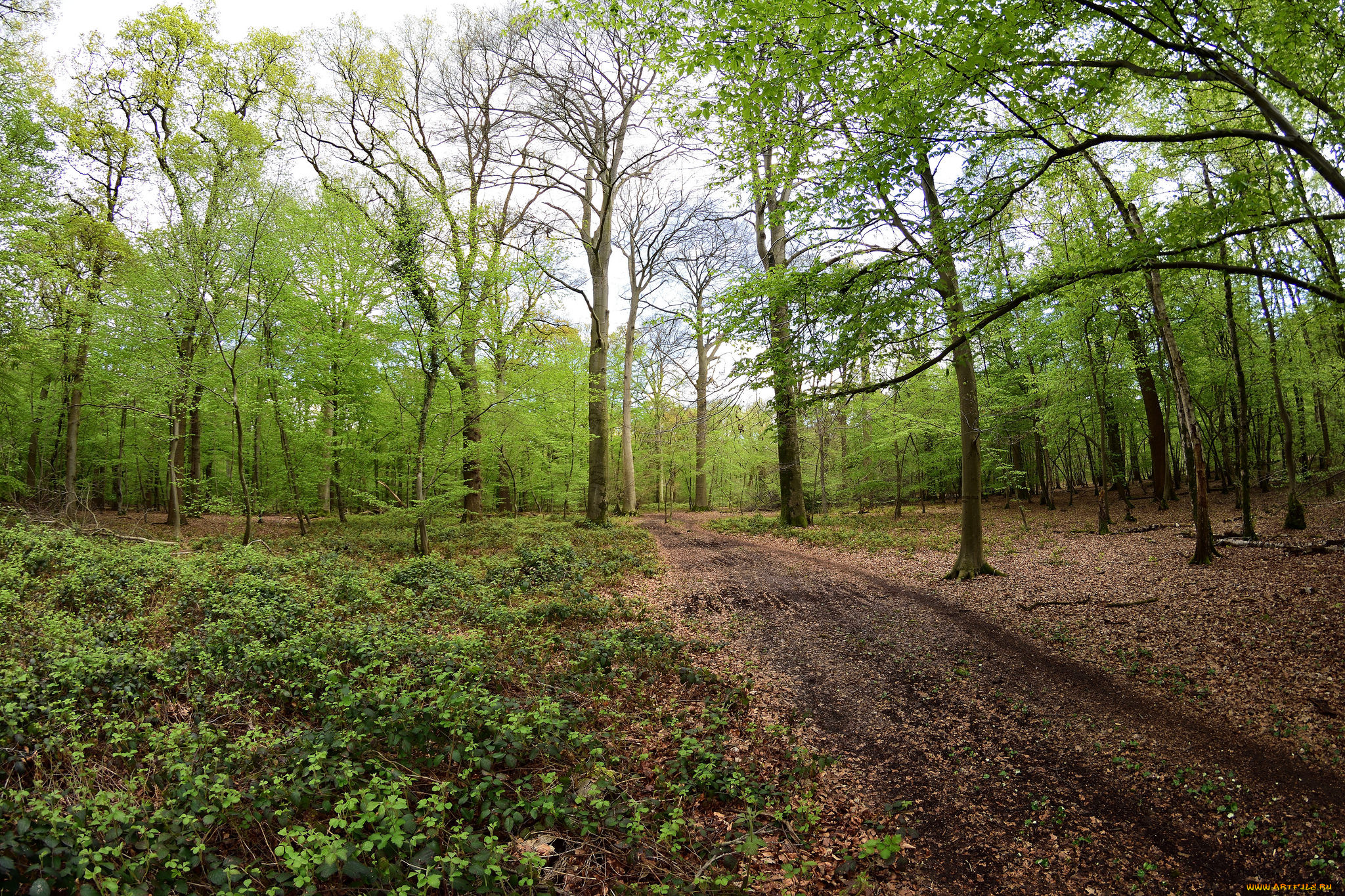 природа, дороги, простор