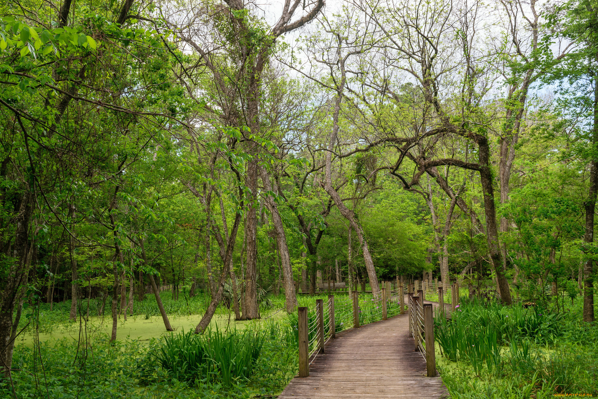 природа, дороги, простор