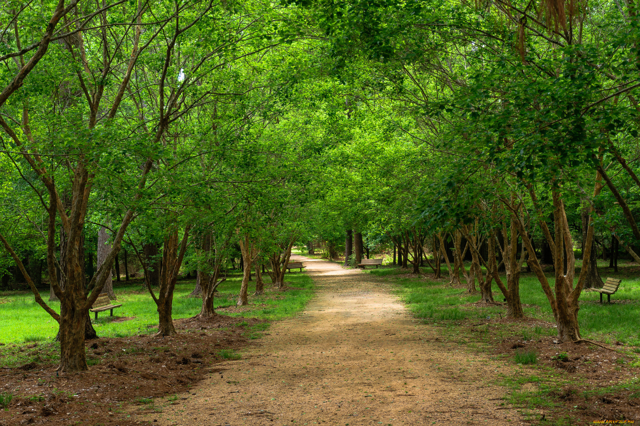 природа, дороги, простор