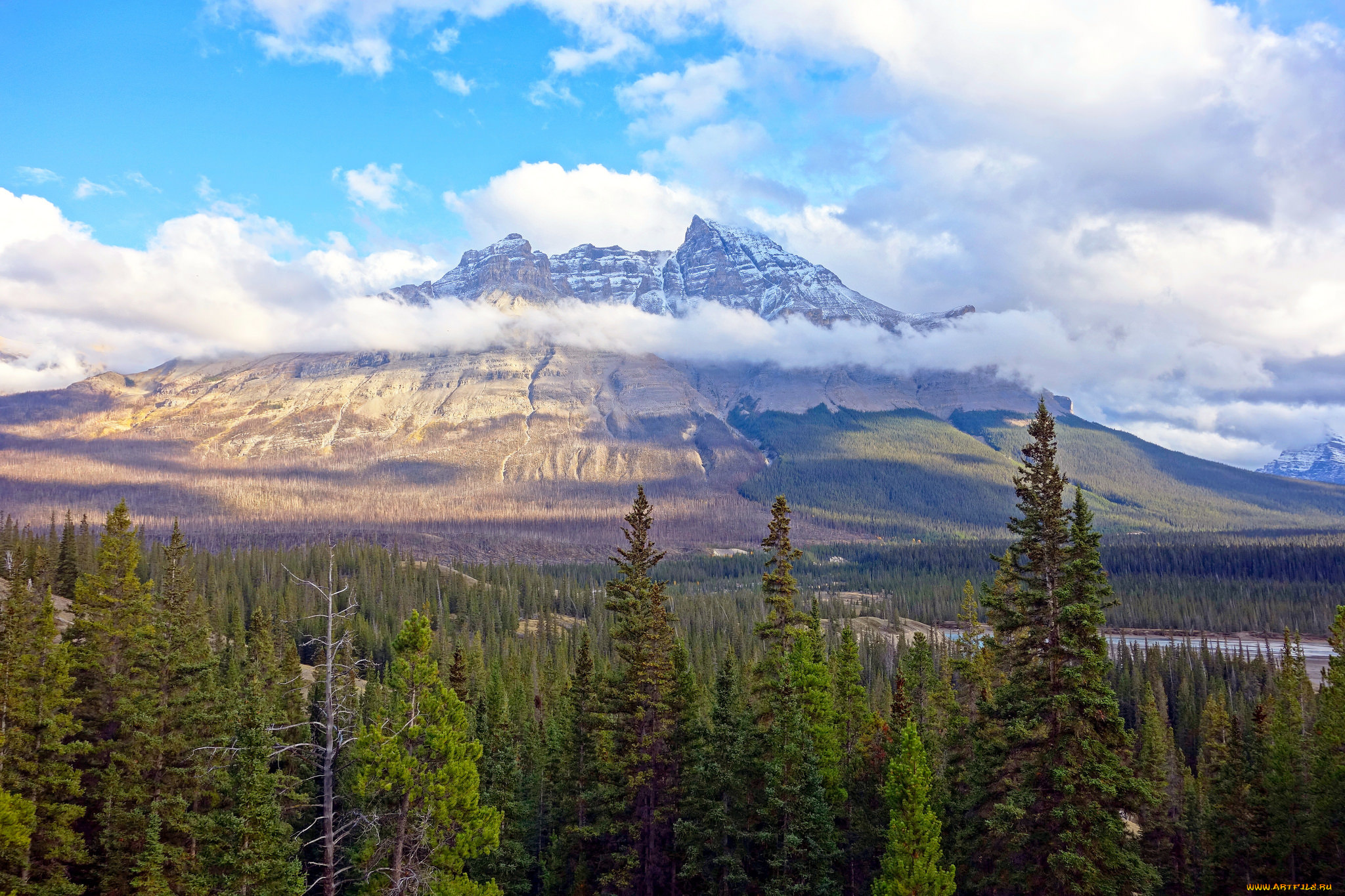 природа, горы, простор