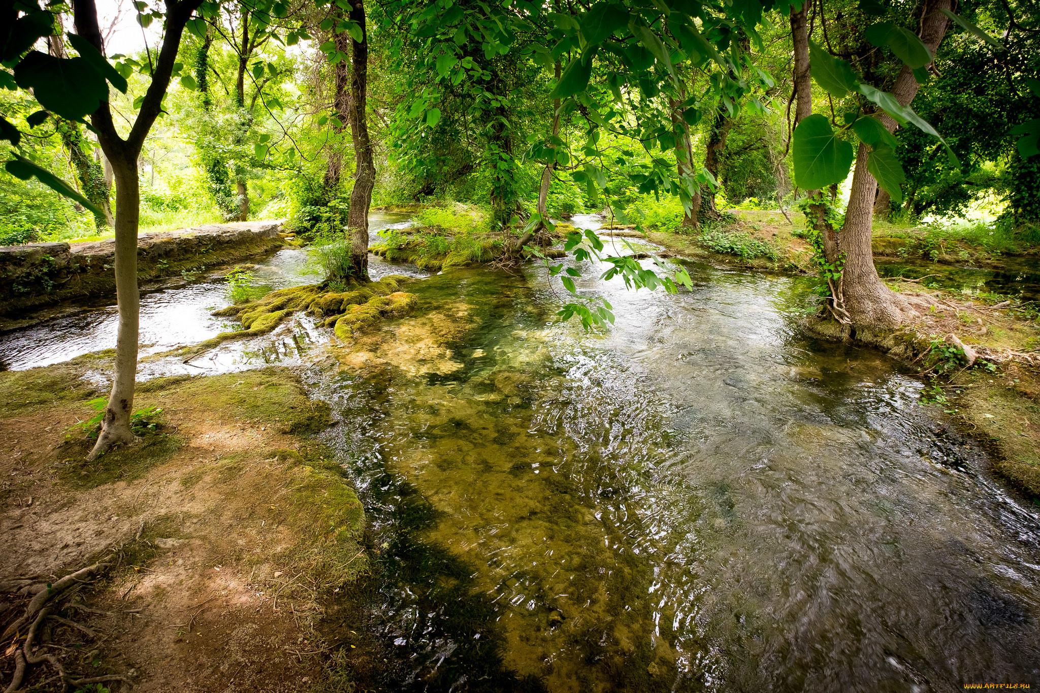 природа, реки, озера, простор