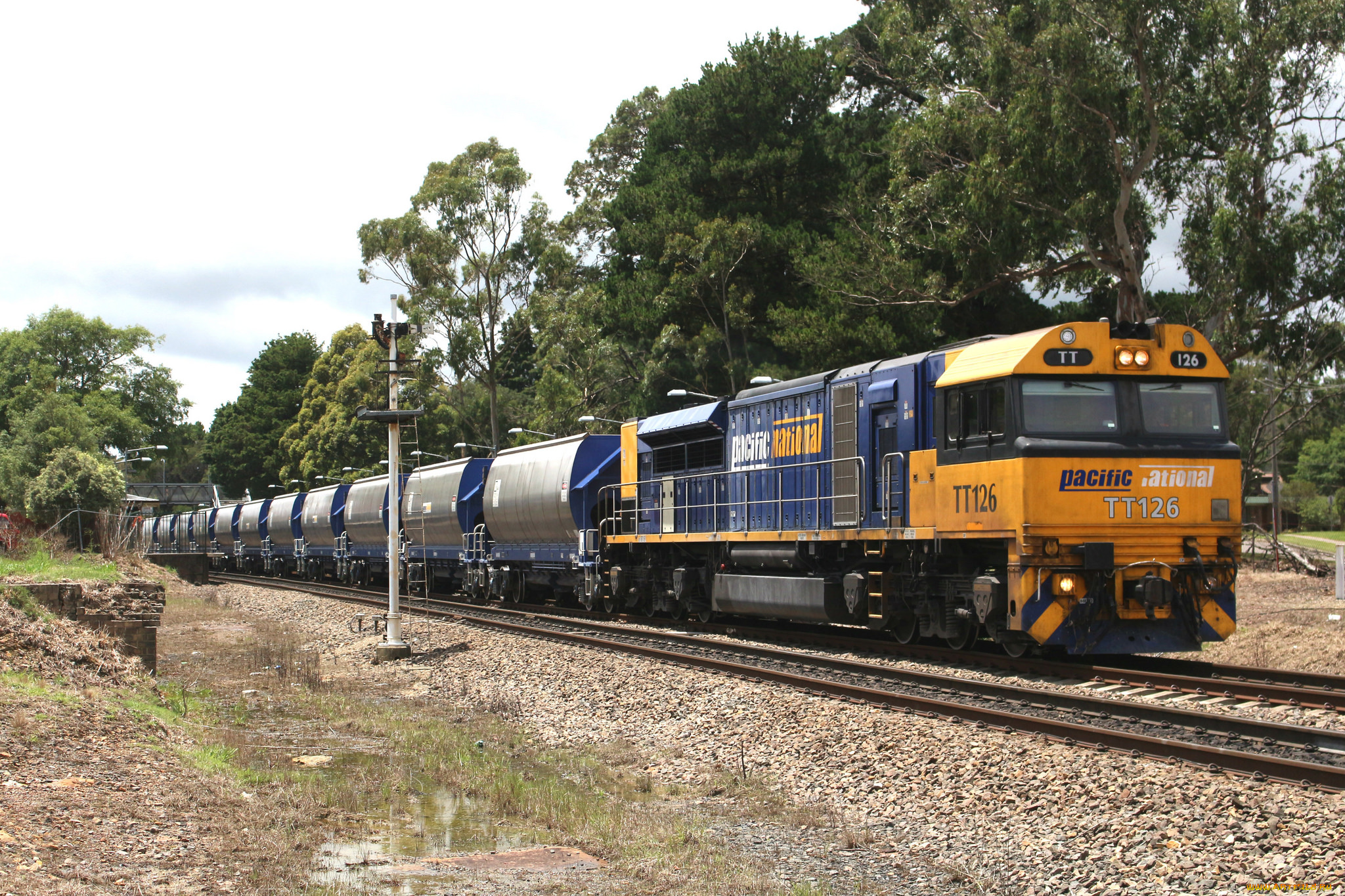 техника, поезда, локомотив, состав