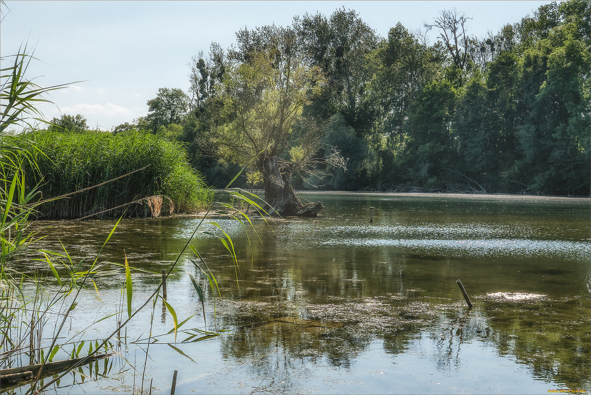 природа, реки, озера, простор