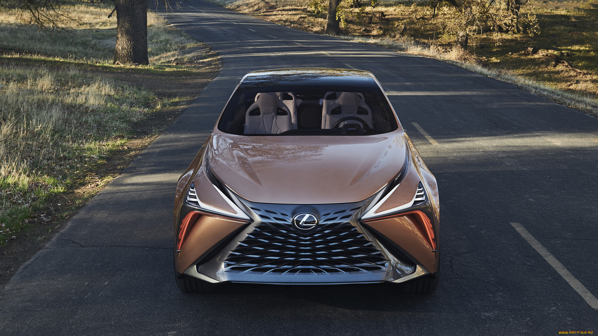 lexus, lf-1, limitless, concept, 2018, автомобили, lexus, lf-1, 2018, concept, limitless