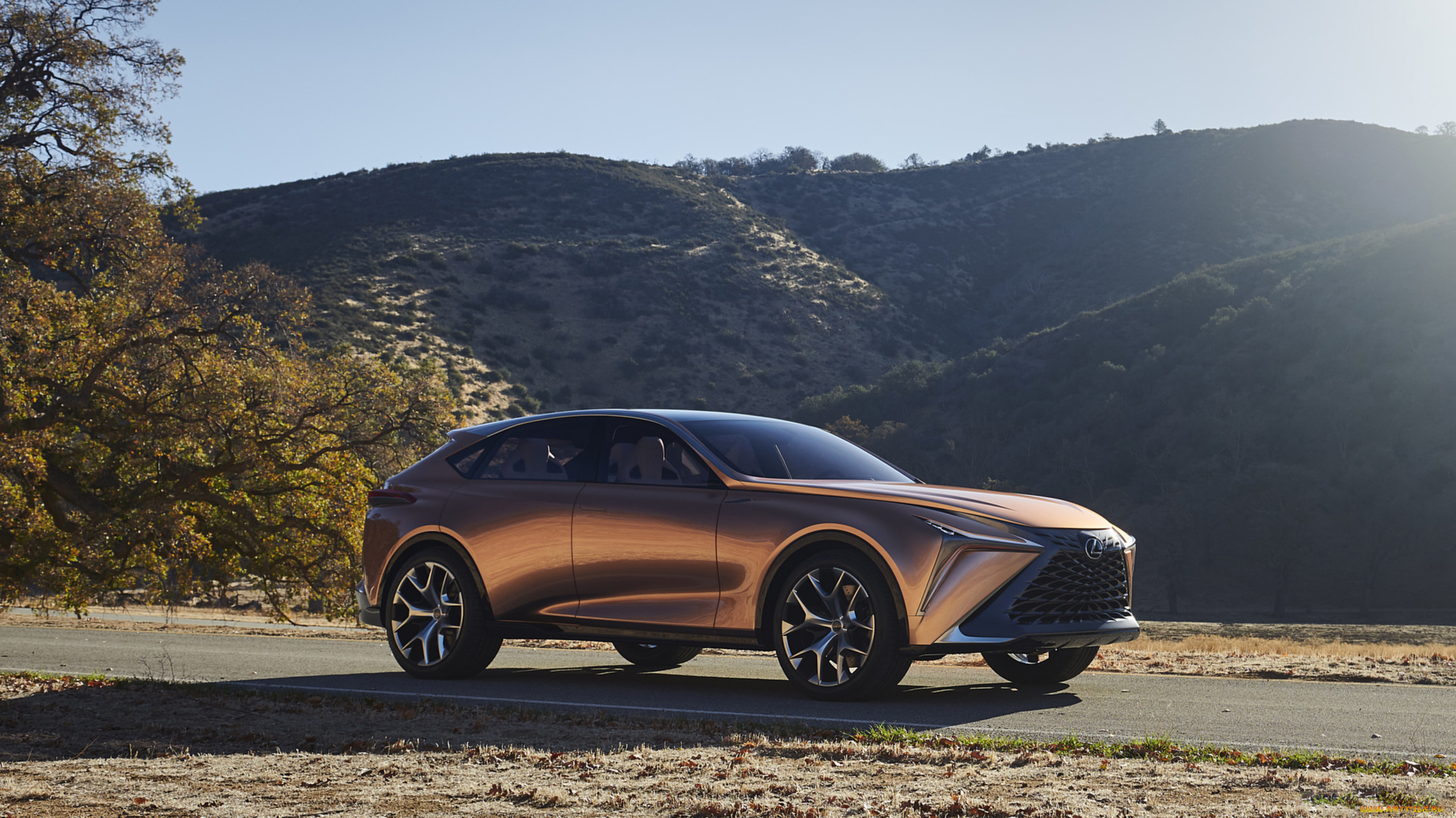 lexus, lf-1, limitless, concept, 2018, автомобили, lexus, 2018, concept, limitless, lf-1