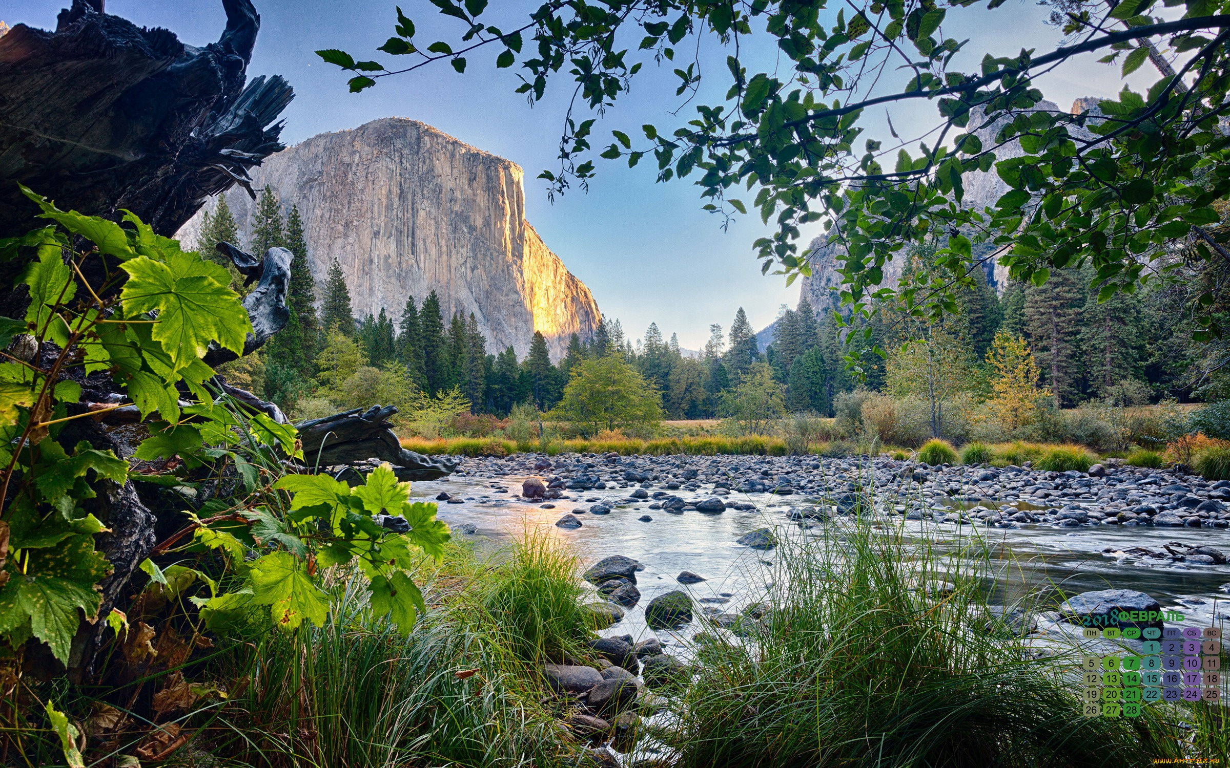 календари, природа, деревья, водоем, скала, 2018, растения