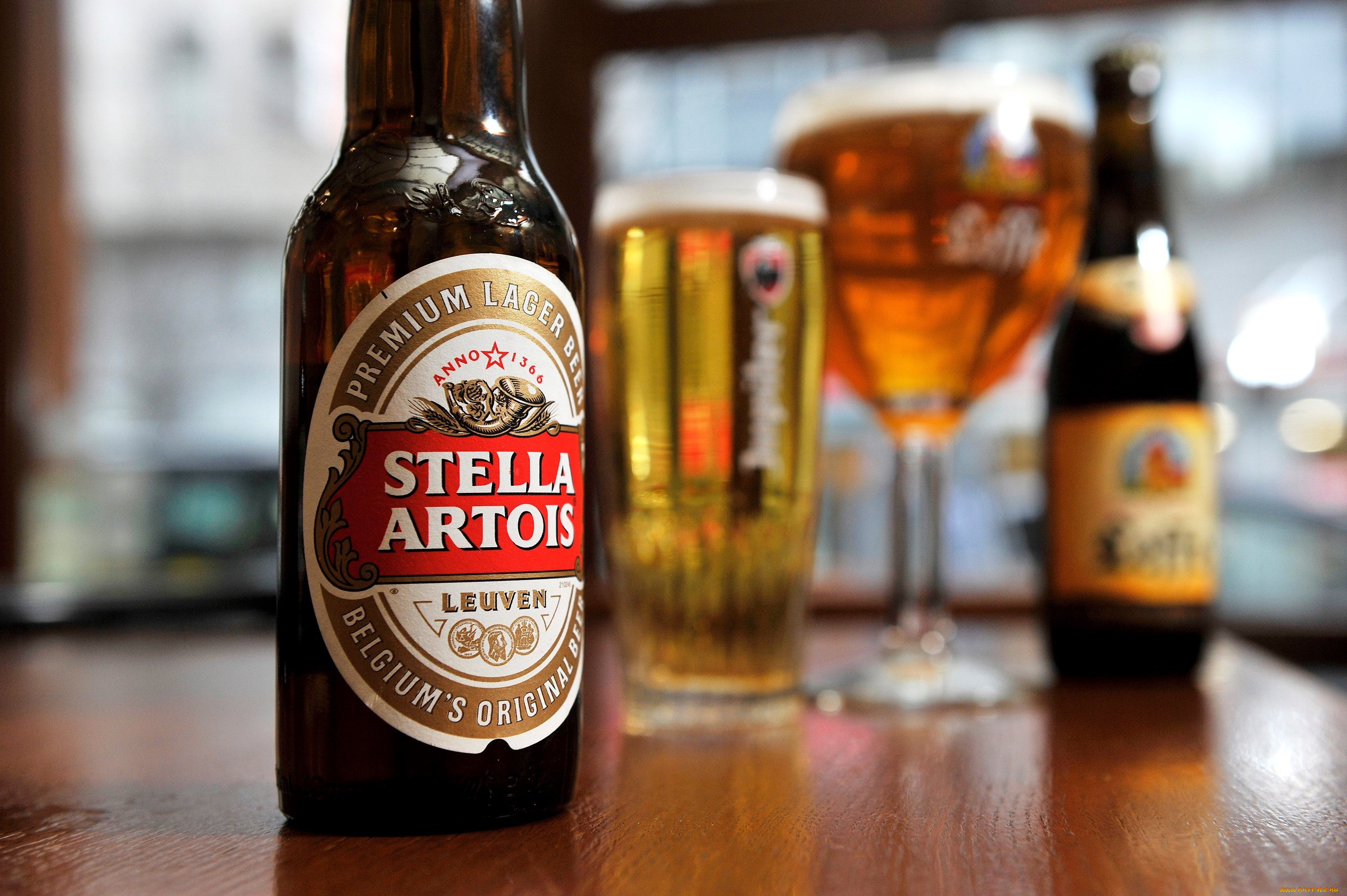 бренды, stella, artois, пиво