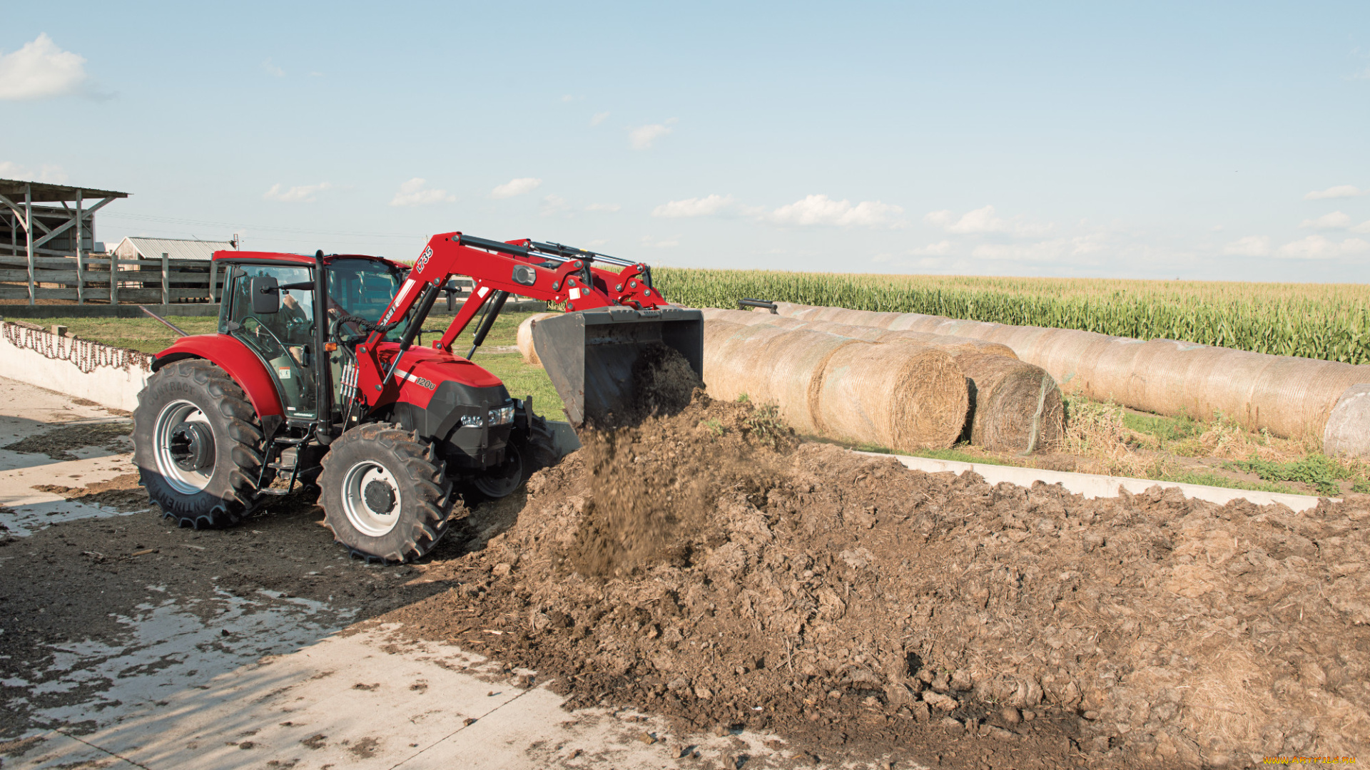 техника, фронтальные, погрузчики, case