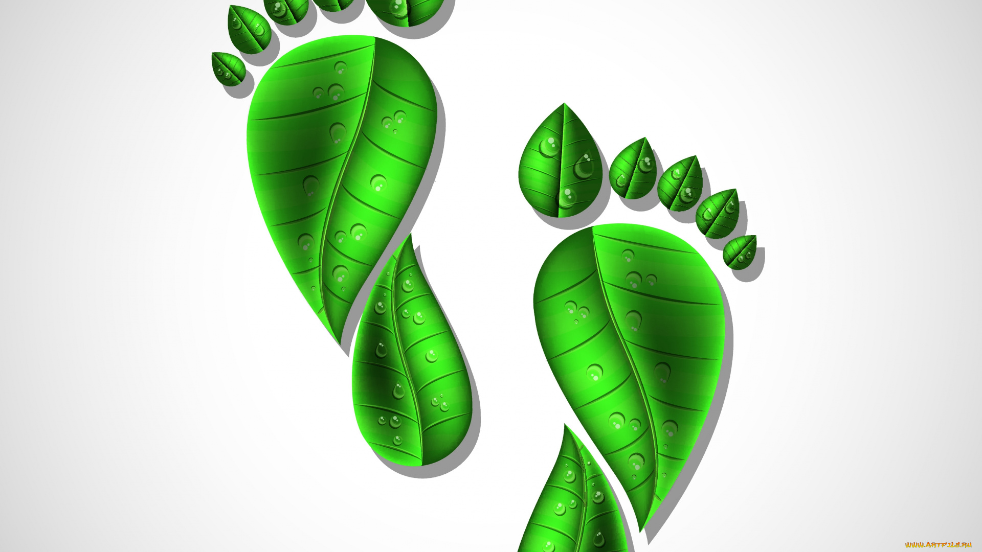 векторная, графика, другое, , other, нога, капли, фон, листья