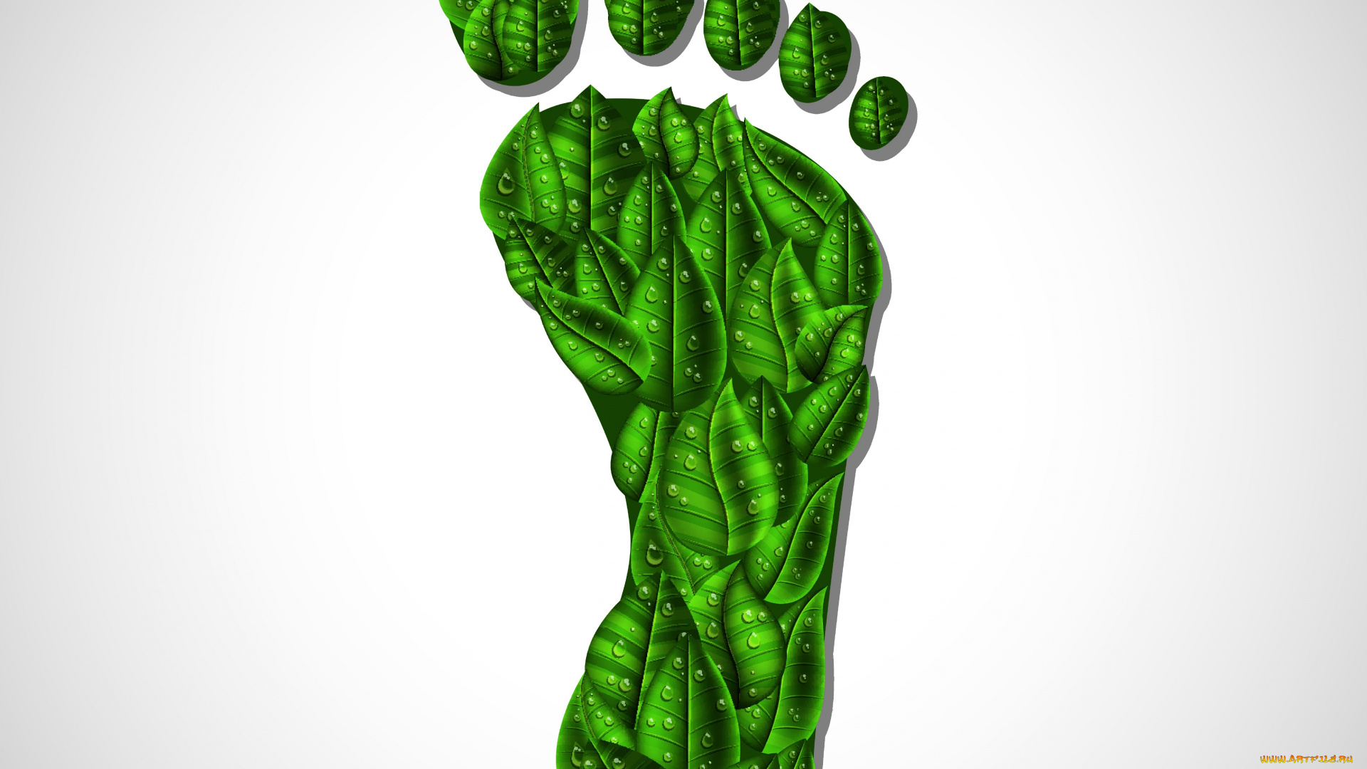 векторная, графика, природа, , nature, нога, капли, фон, листья
