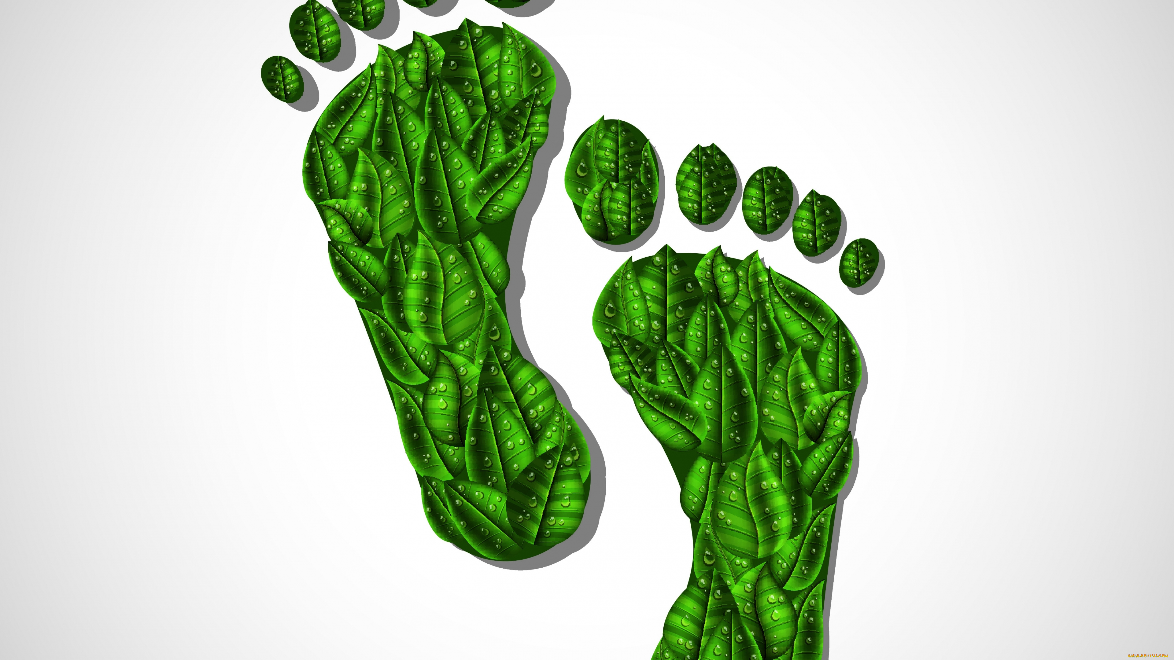 векторная, графика, другое, , other, нога, капли, фон, листья