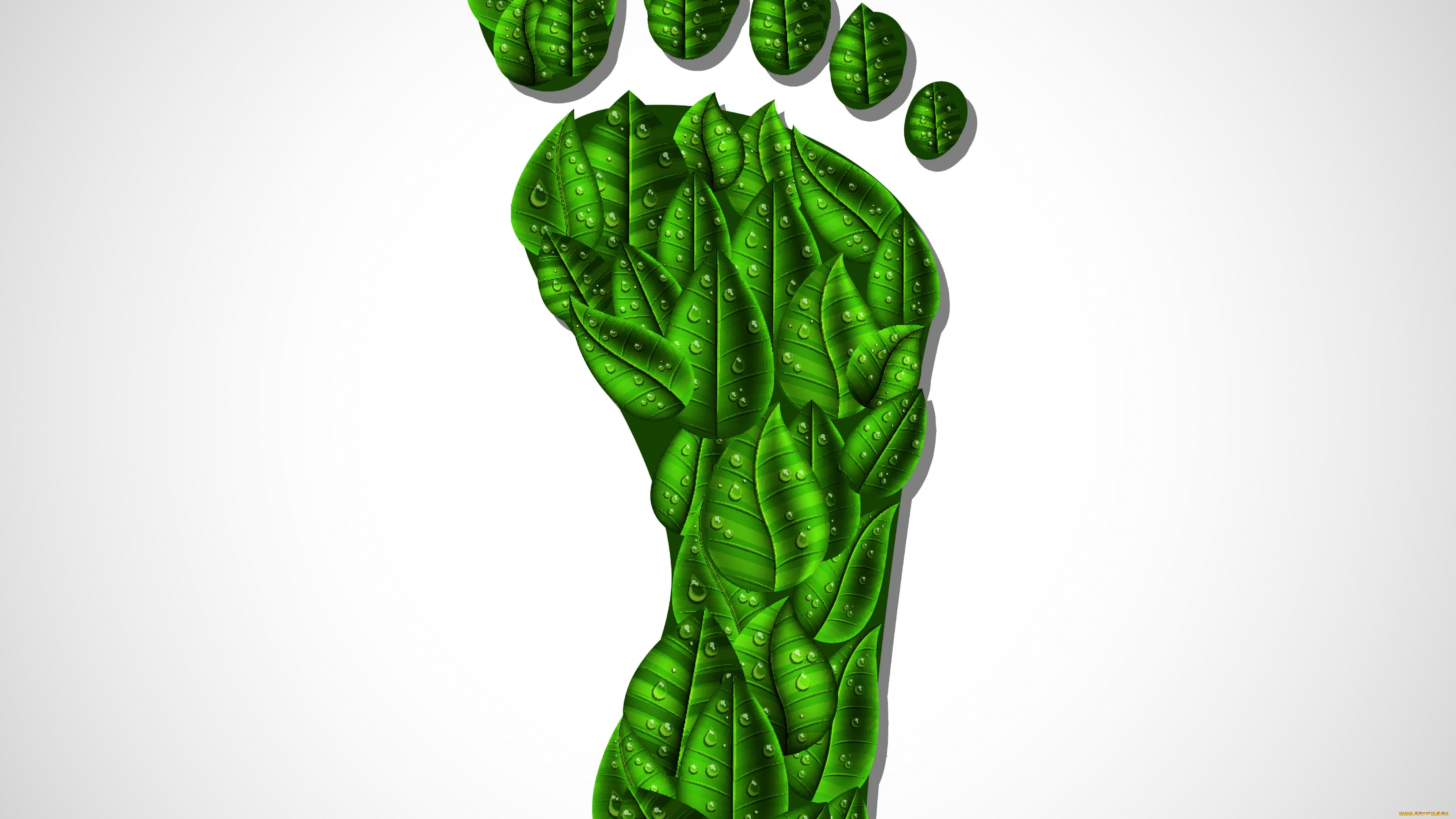 векторная, графика, природа, , nature, нога, капли, фон, листья