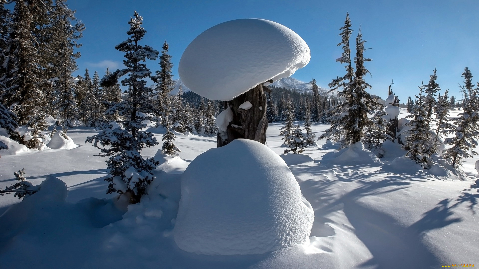 природа, зима, сугробы, снег