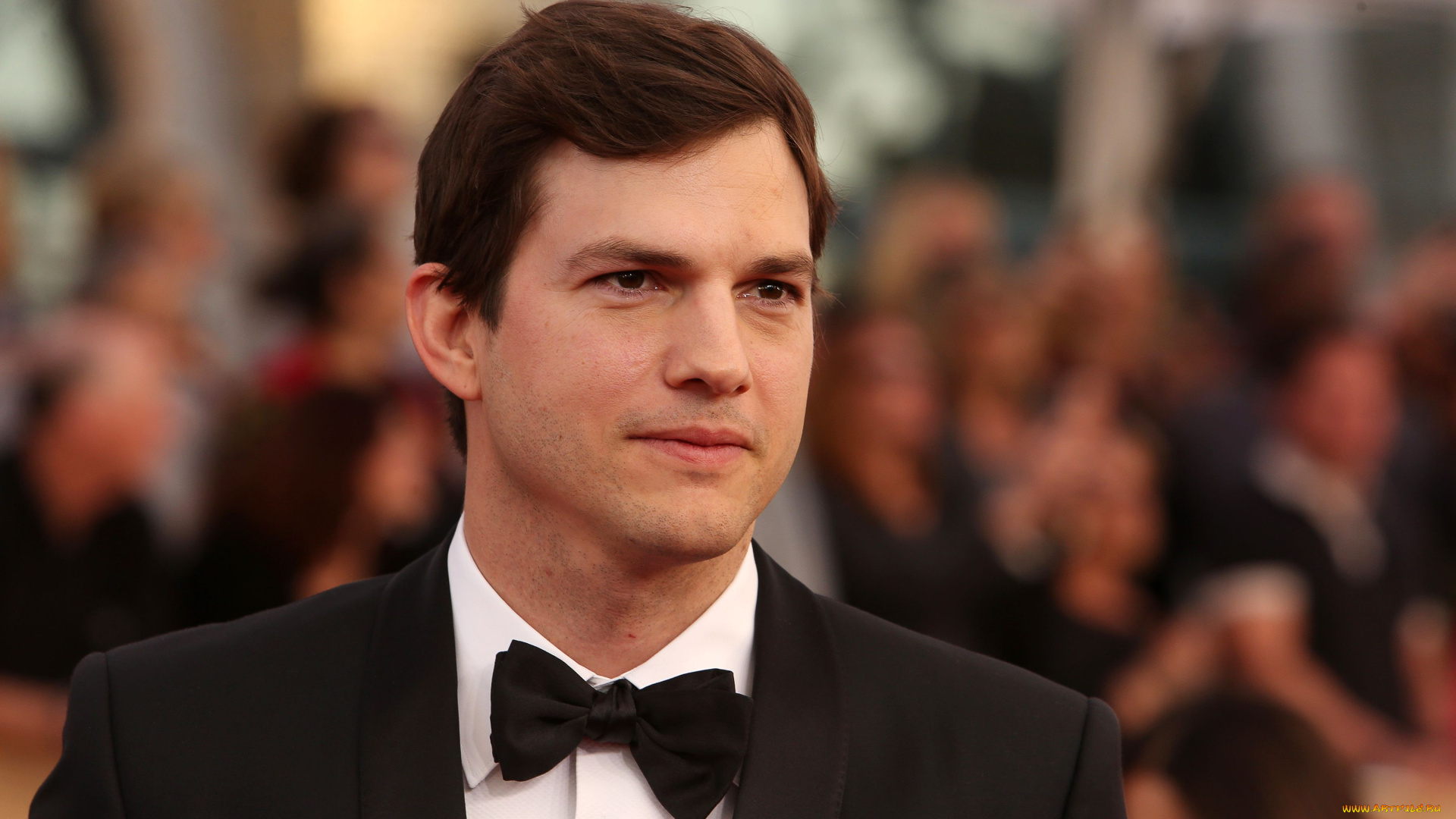 мужчины, ashton, kutcher, актер, костюм, бабочка