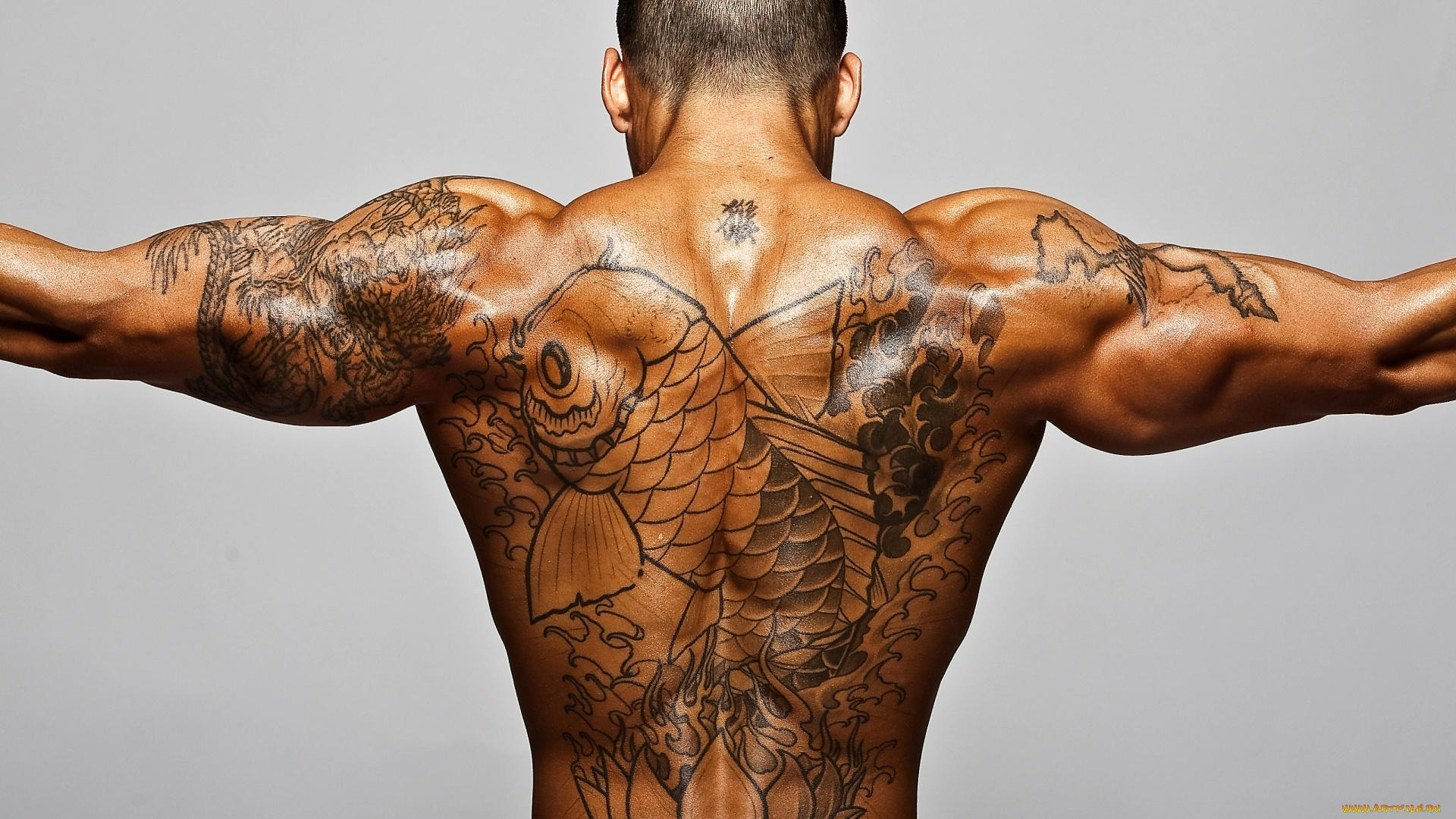 мужчины, -unsort, спина, мышцы, тату