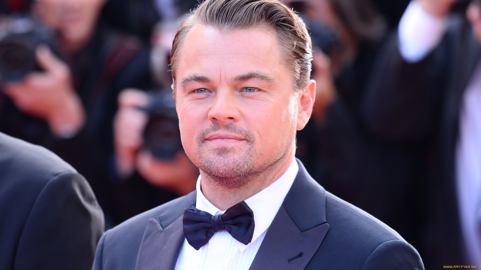мужчины, leonardo, dicaprio, актер, костюм, бабочка