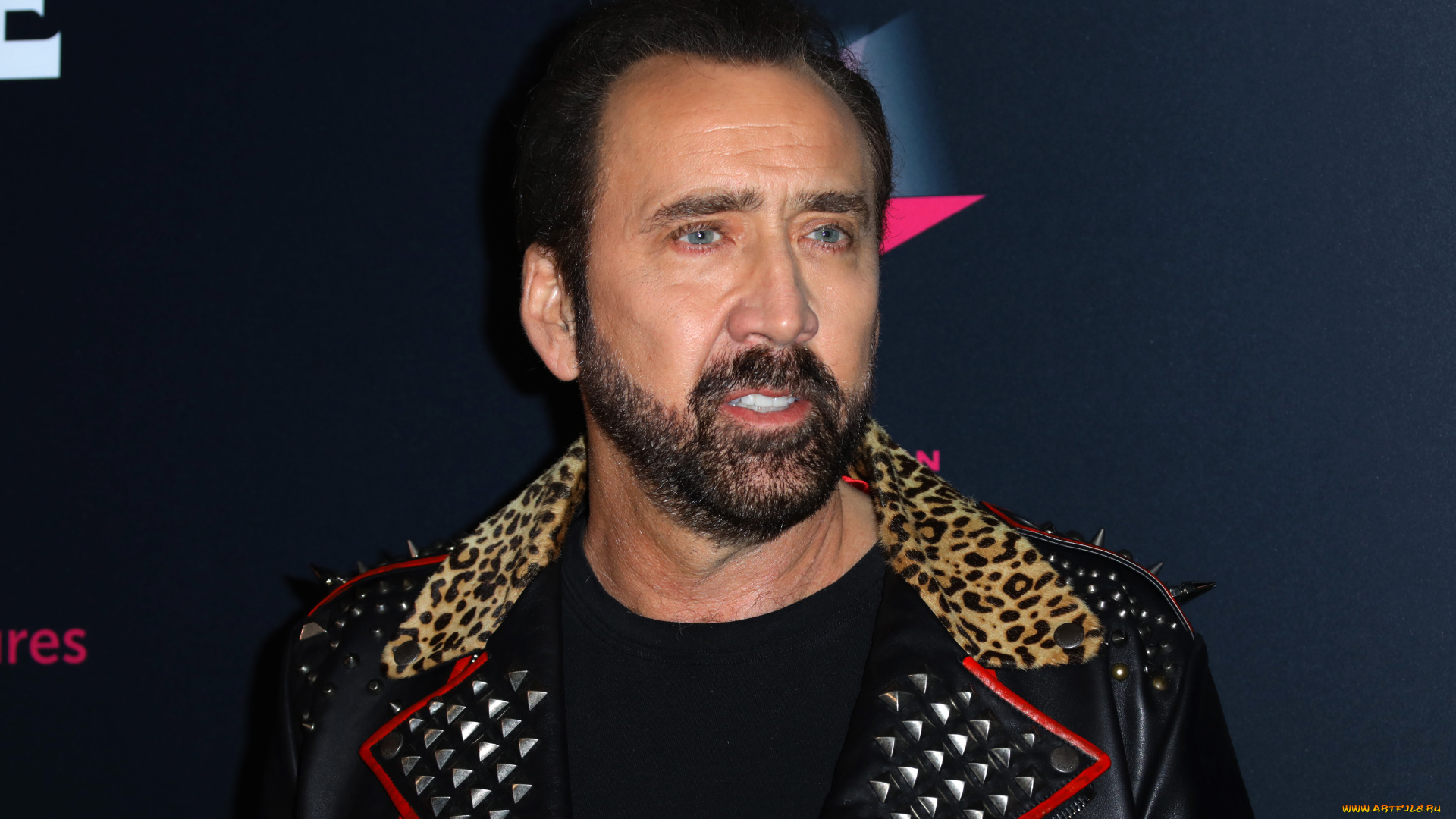 мужчины, nicolas, cage, актер, лицо, борода, куртка