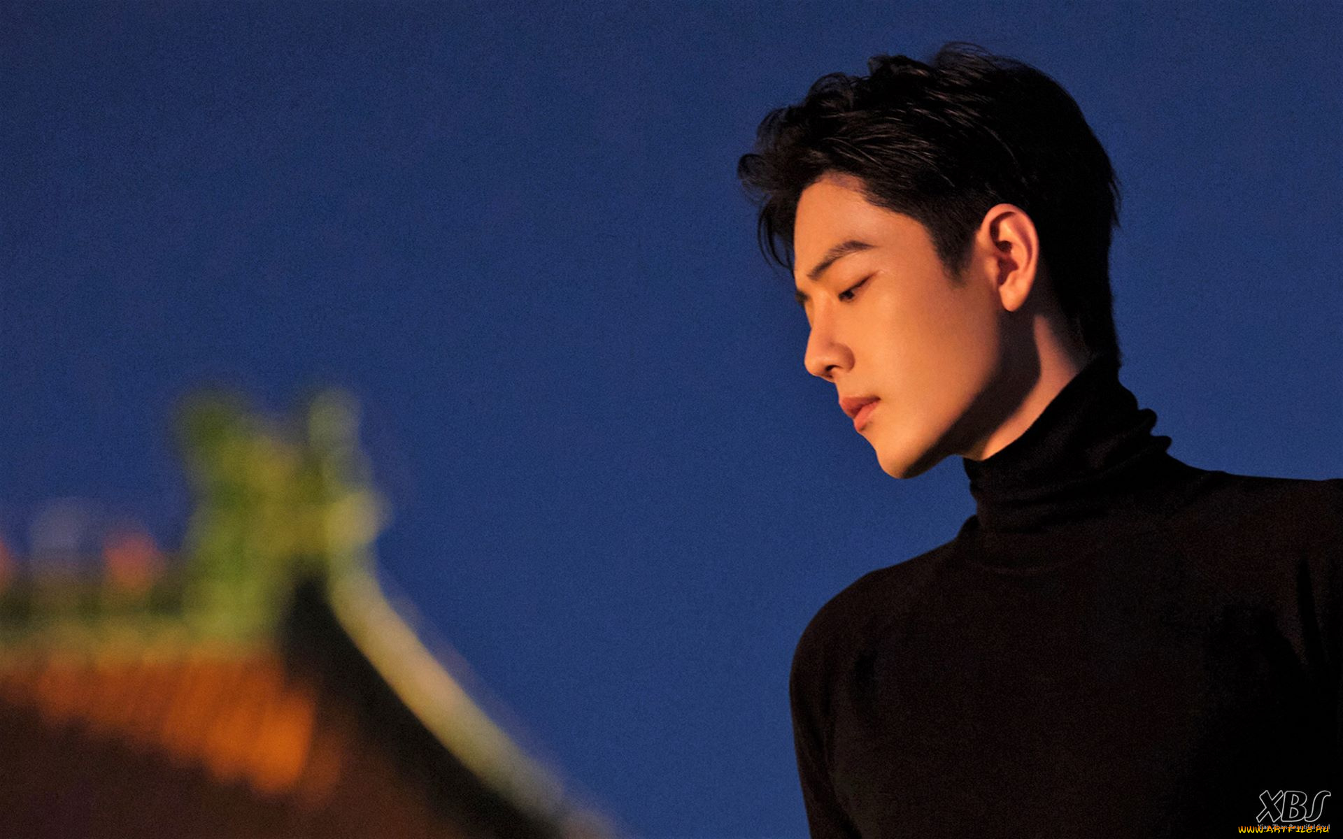 мужчины, xiao, zhan, лицо, водолазка, храм