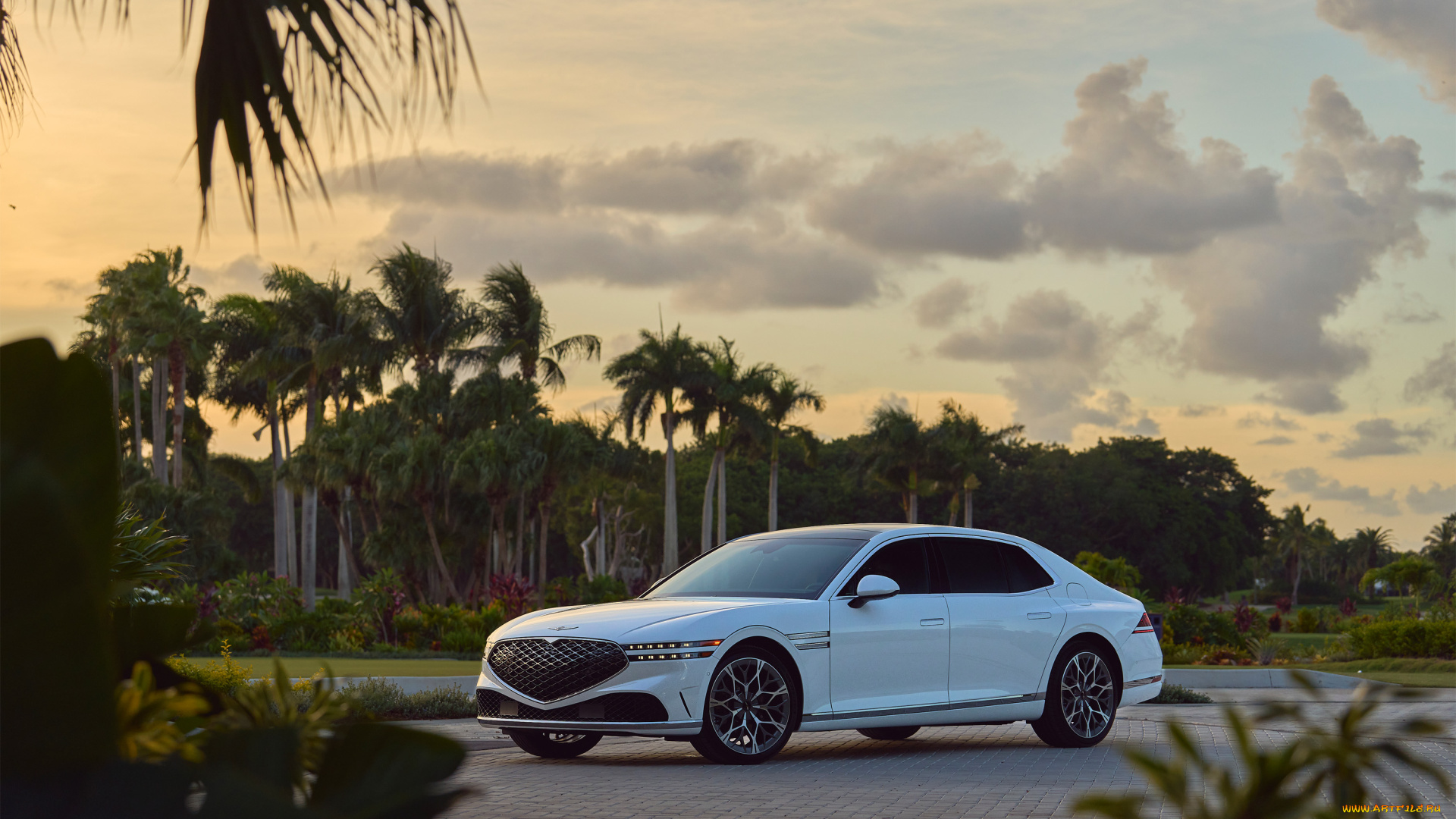 автомобили, genesis