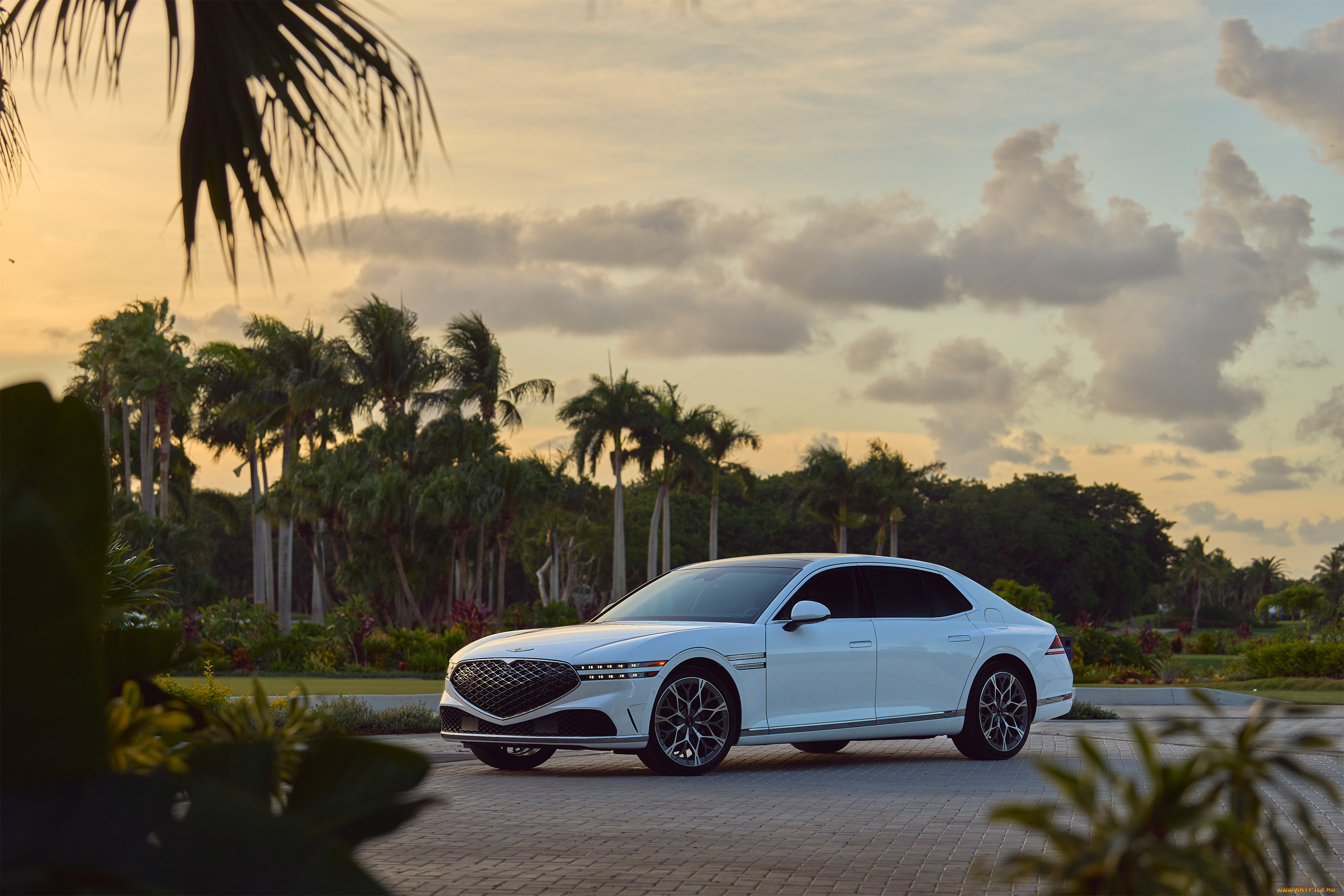 автомобили, genesis