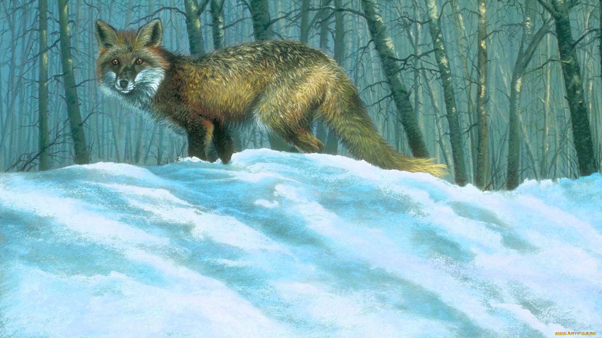 рисованное, животные, , лисы, лиса, снег, лес, зима