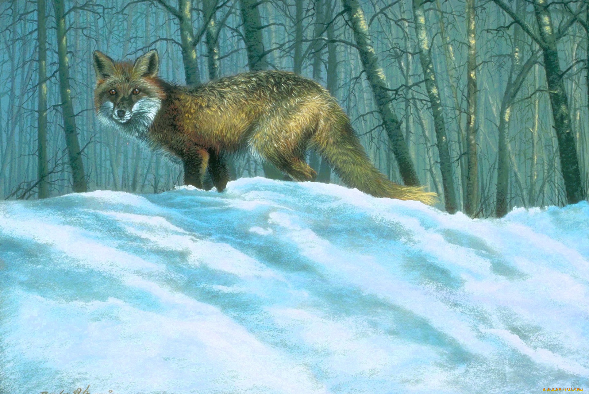 рисованное, животные, , лисы, лиса, снег, лес, зима