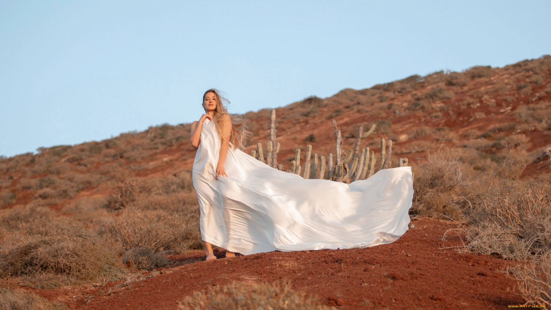 девушки, -, блондинки, , светловолосые, пустыня, блондинка, поза