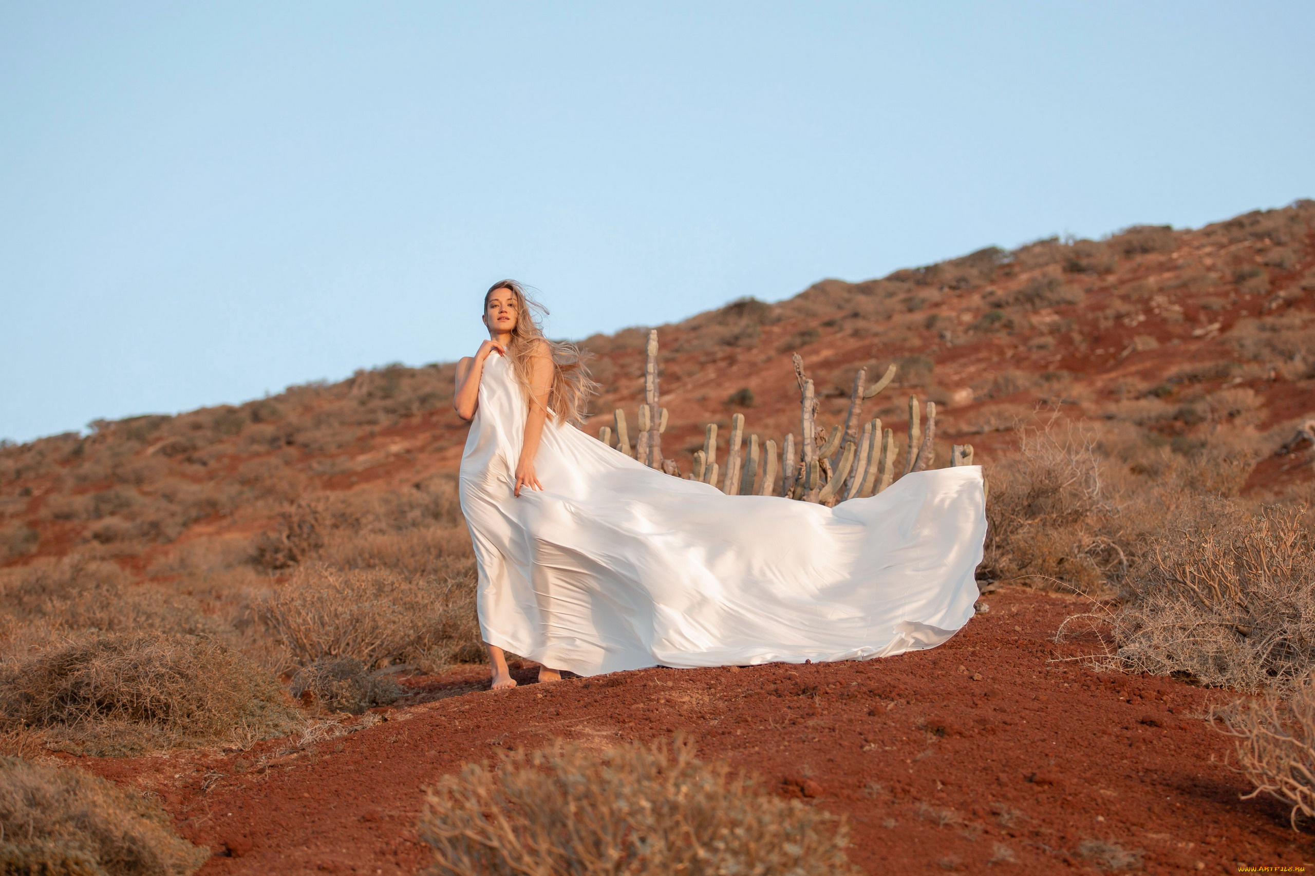 девушки, -, блондинки, , светловолосые, пустыня, блондинка, поза