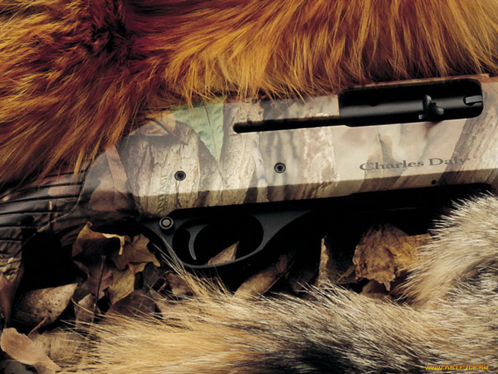 charles, daly, field, hunter, vr, mc, оружие, винтовкиружьямушкетывинчестеры