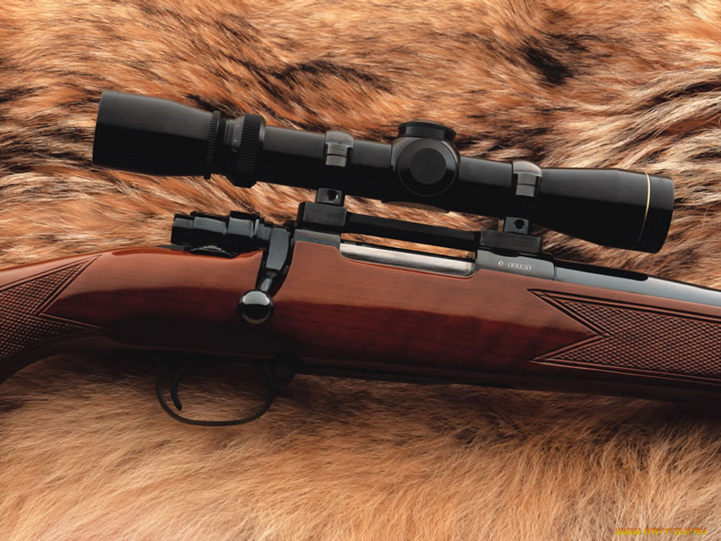 charles, daly, superior, grade, mini, mauser, оружие, винтовки, прицеломприцелы