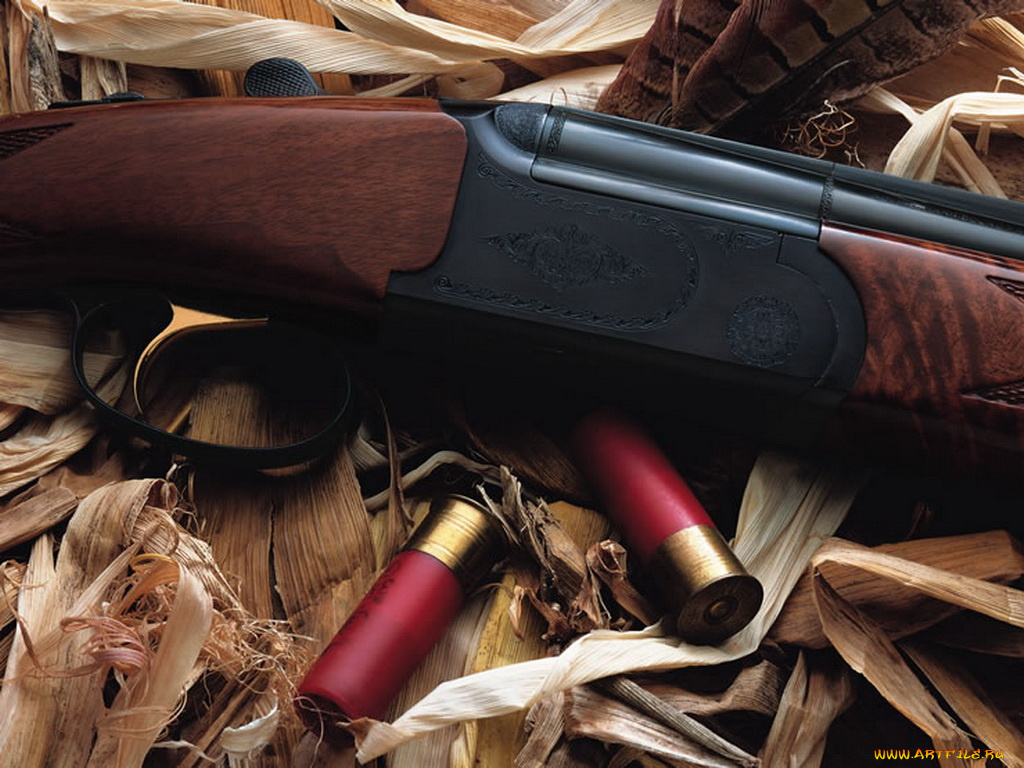 daly, empire, hunter, ae, mc, оружие, винтовкиружьямушкетывинчестеры