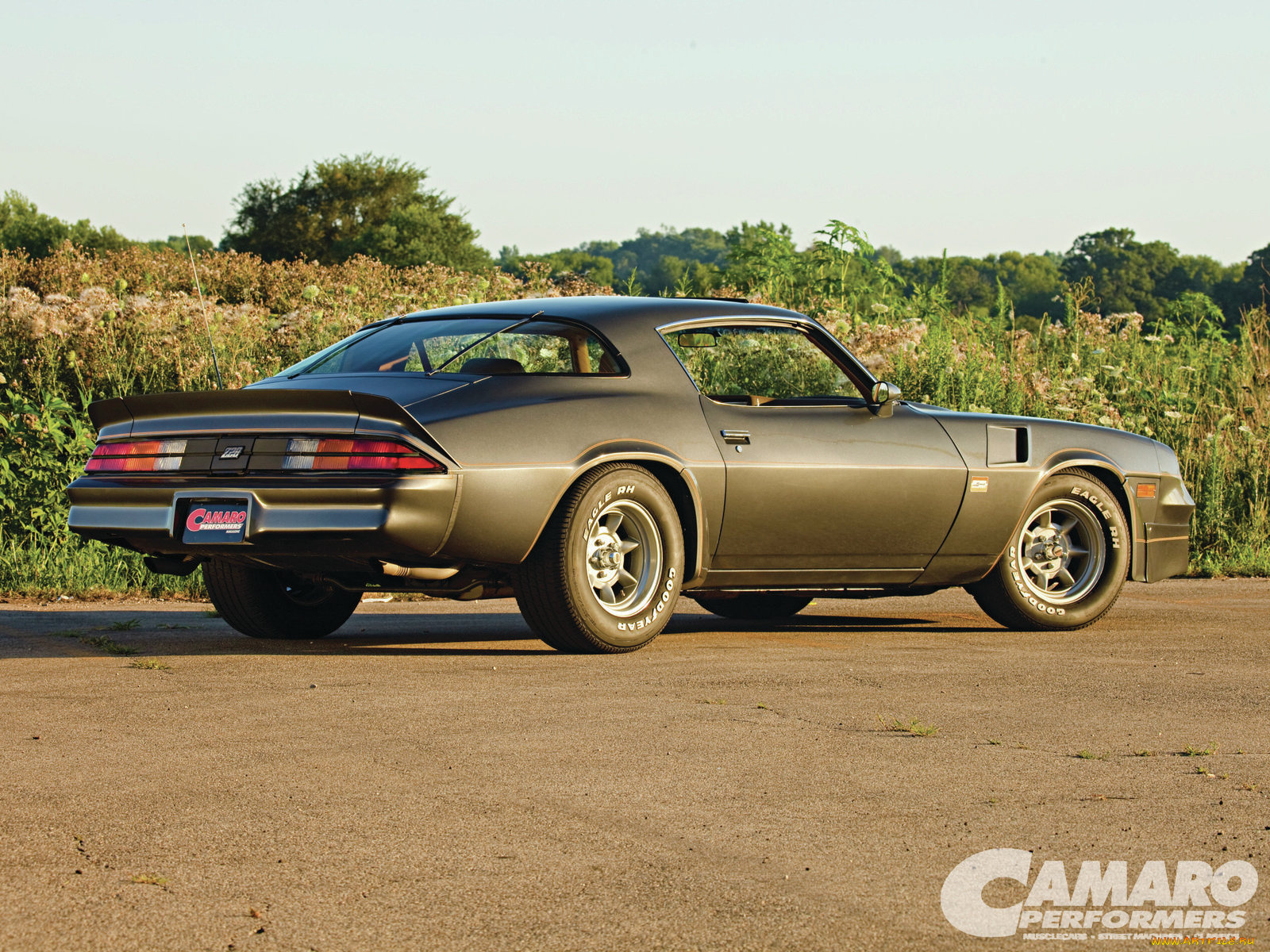 автомобили, camaro, unrestored