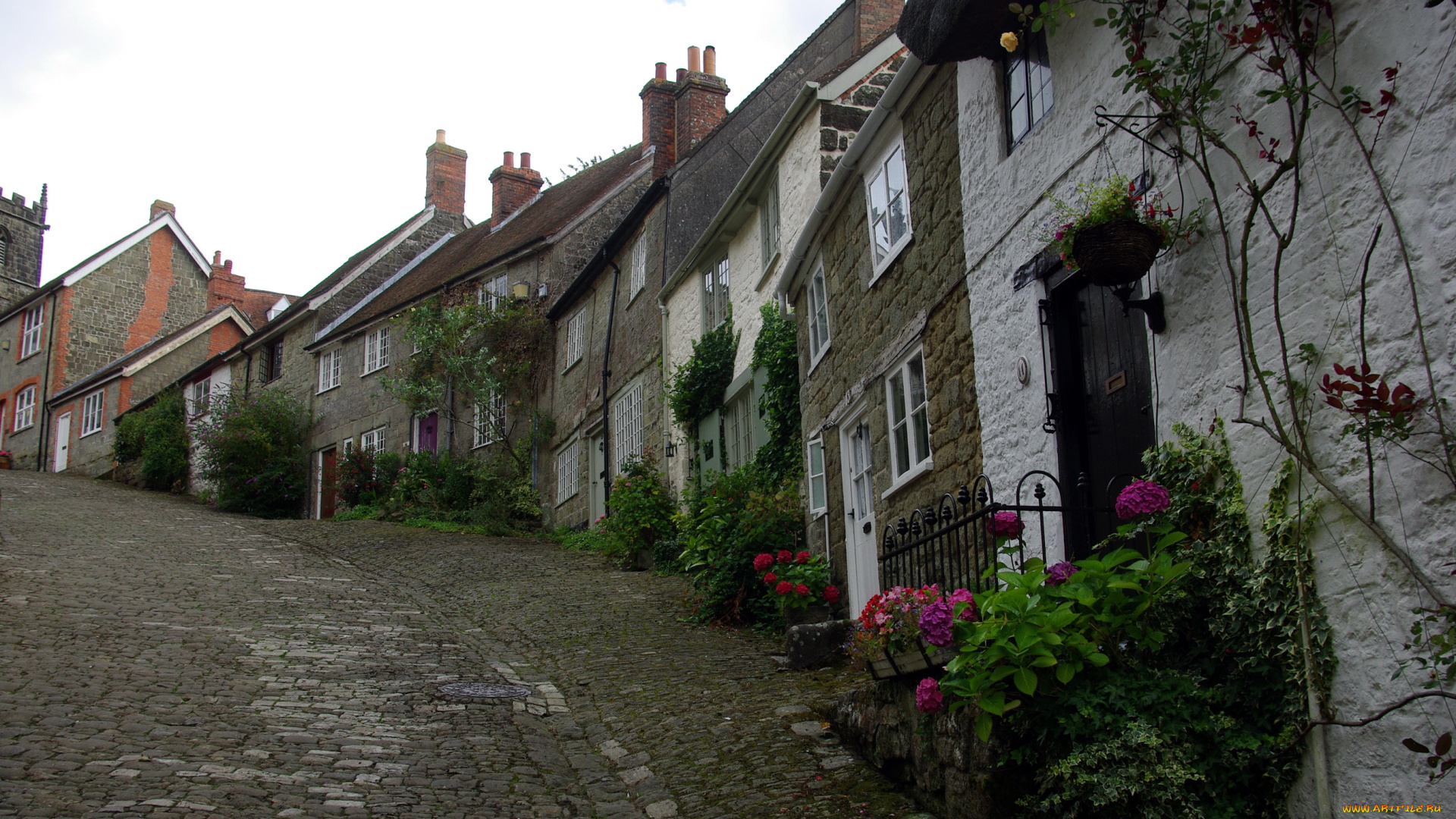 города, улицы, площади, набережные, улица, дома, цветы