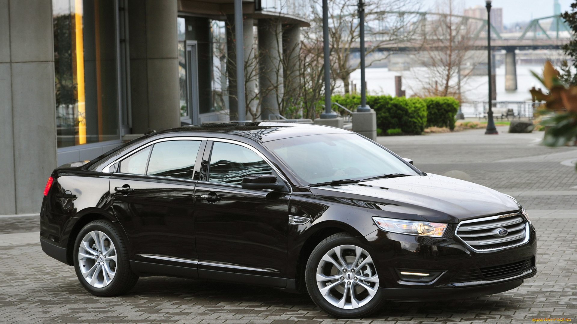 2013, ford, taurus, автомобили