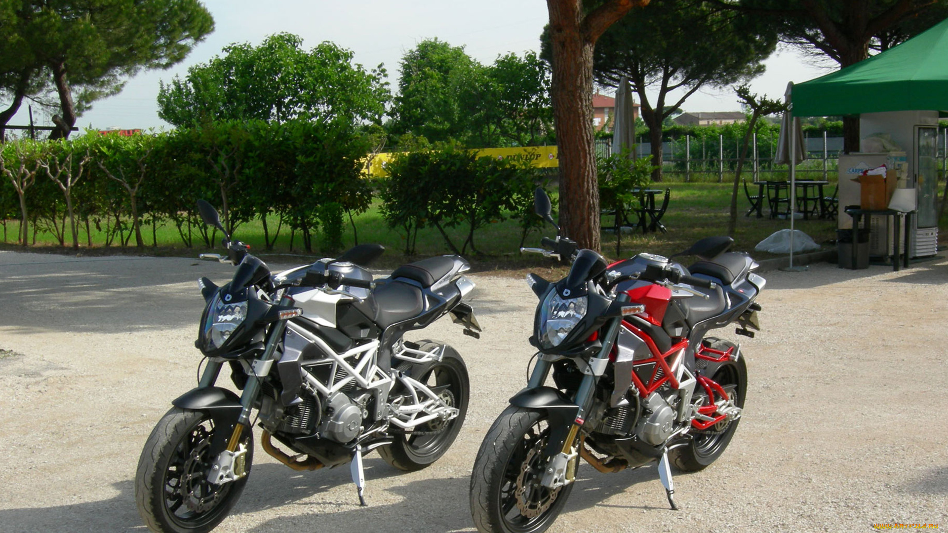 мотоциклы, bimota