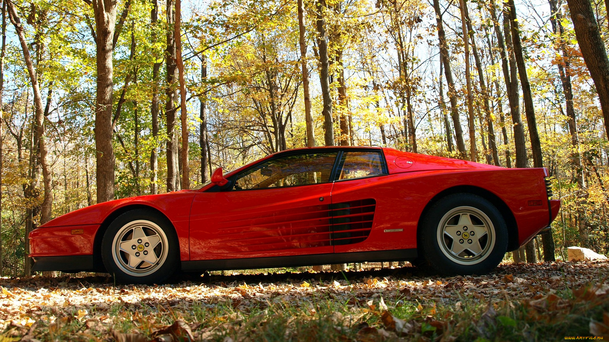 ferrari, 512, testarossa, автомобили, феррари, италия, спортивный