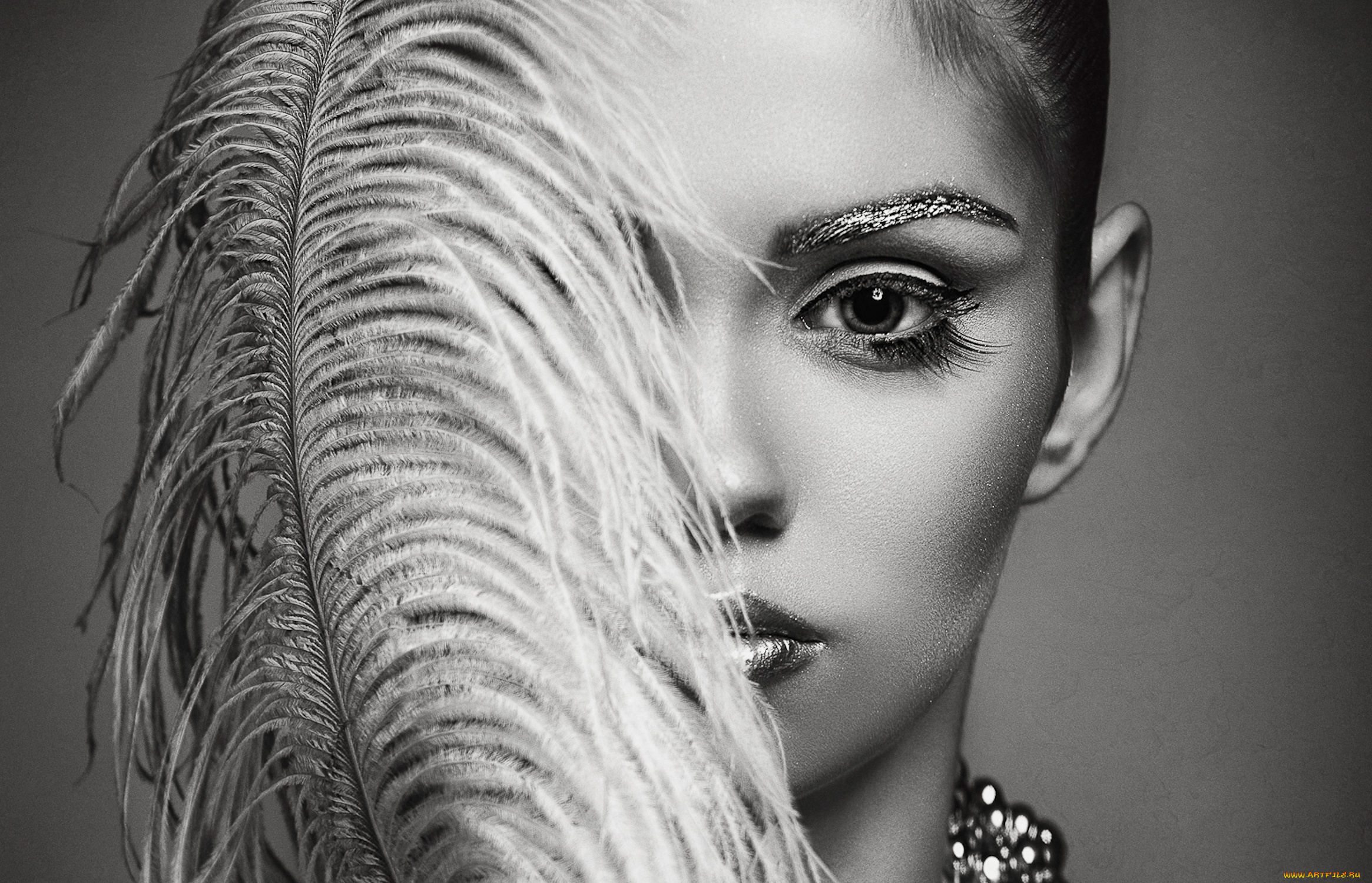 -Unsort, Лица, Портреты, девушки, unsort, лица, портреты, лицо, перо