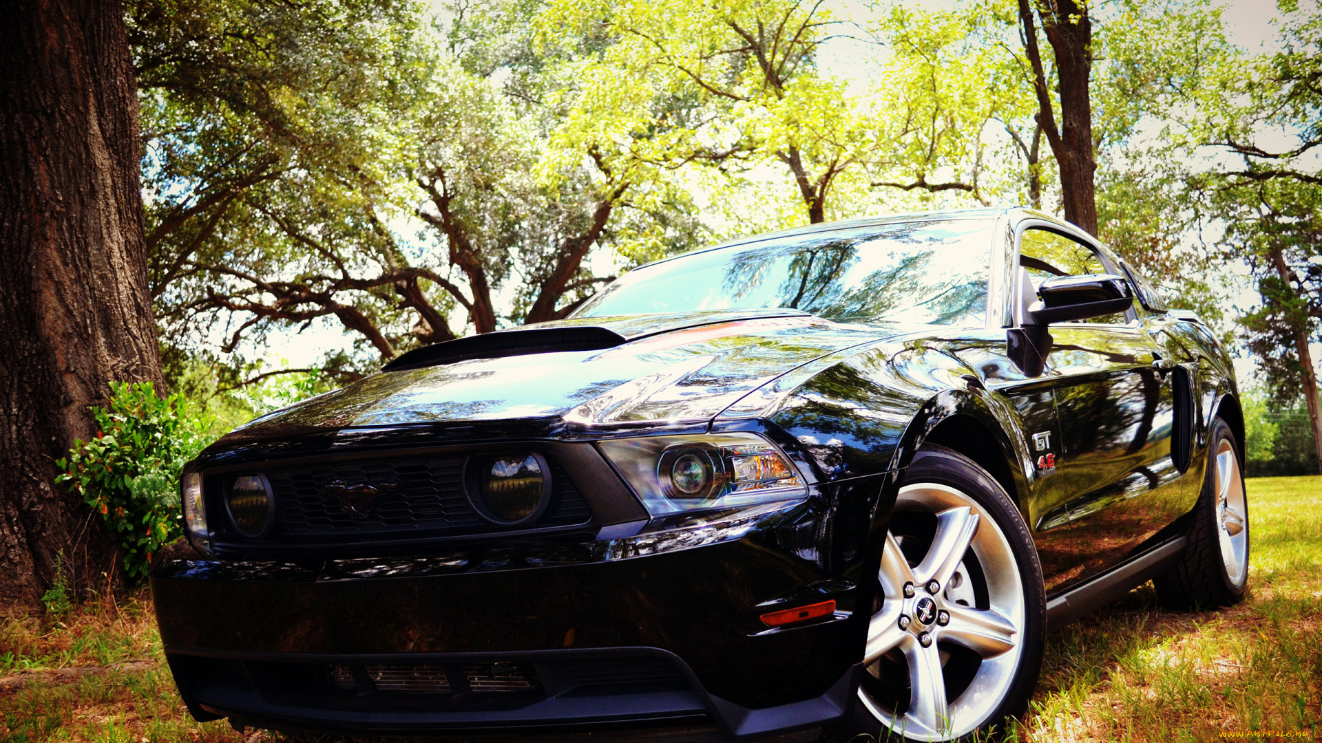 автомобили, mustang, gt, черный