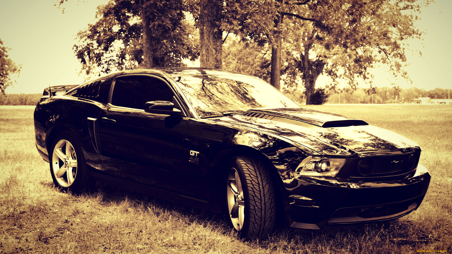 автомобили, mustang, gt, черный