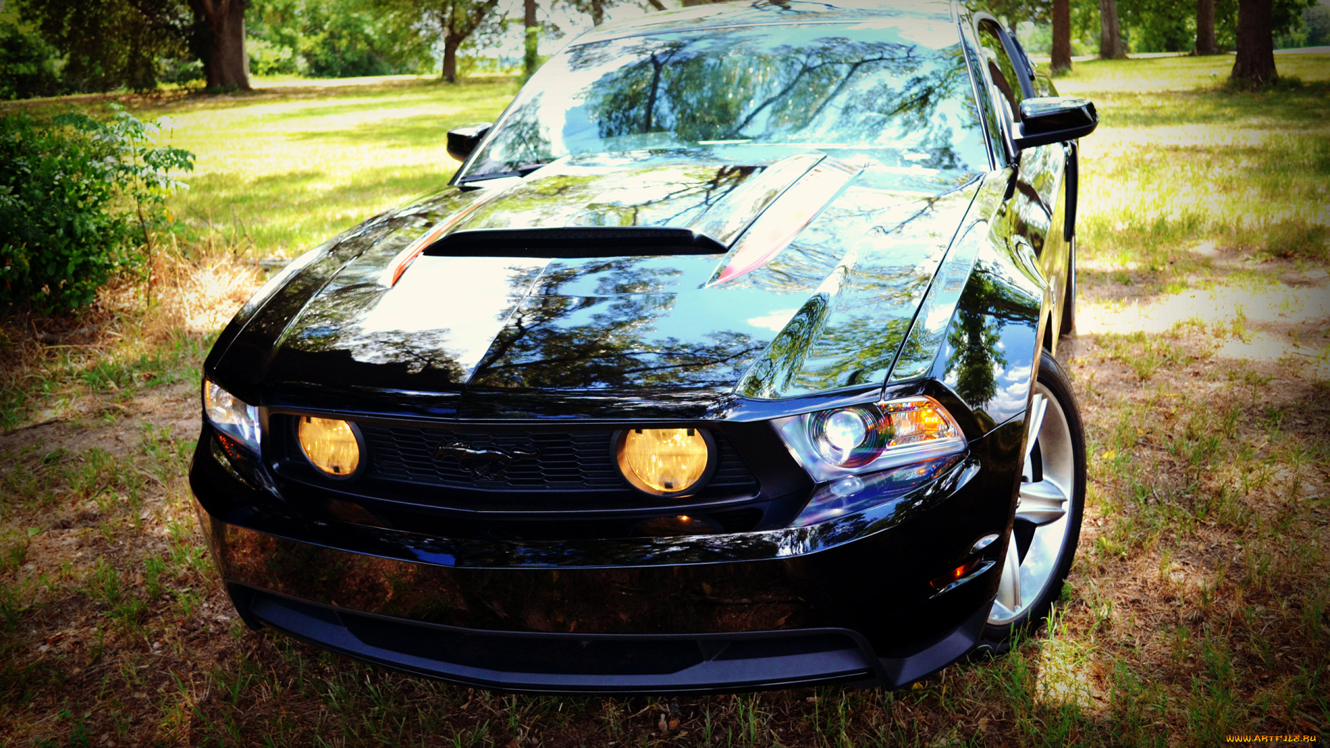 автомобили, mustang, gt, черный