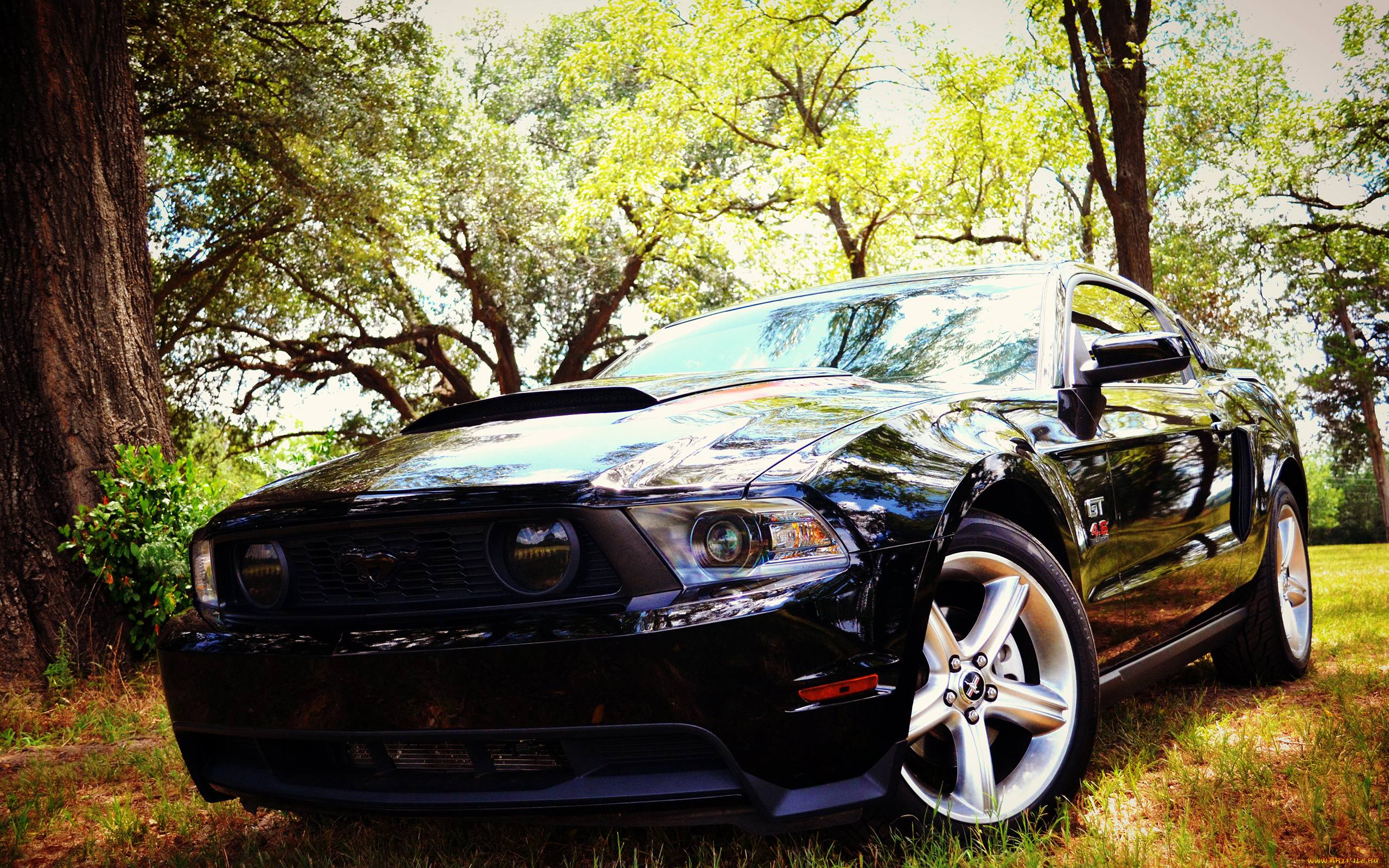 автомобили, mustang, gt, черный