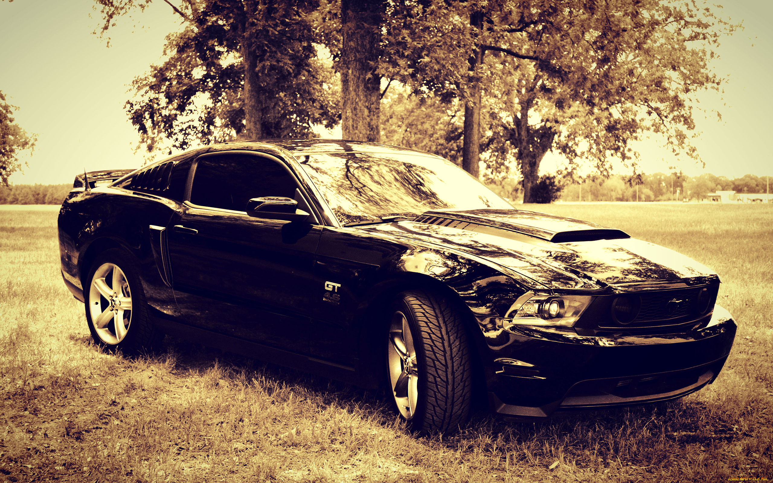 автомобили, mustang, gt, черный