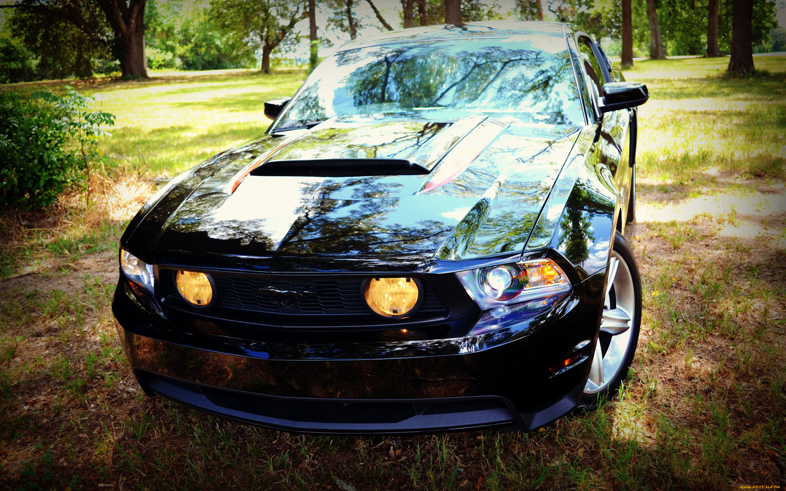автомобили, mustang, gt, черный
