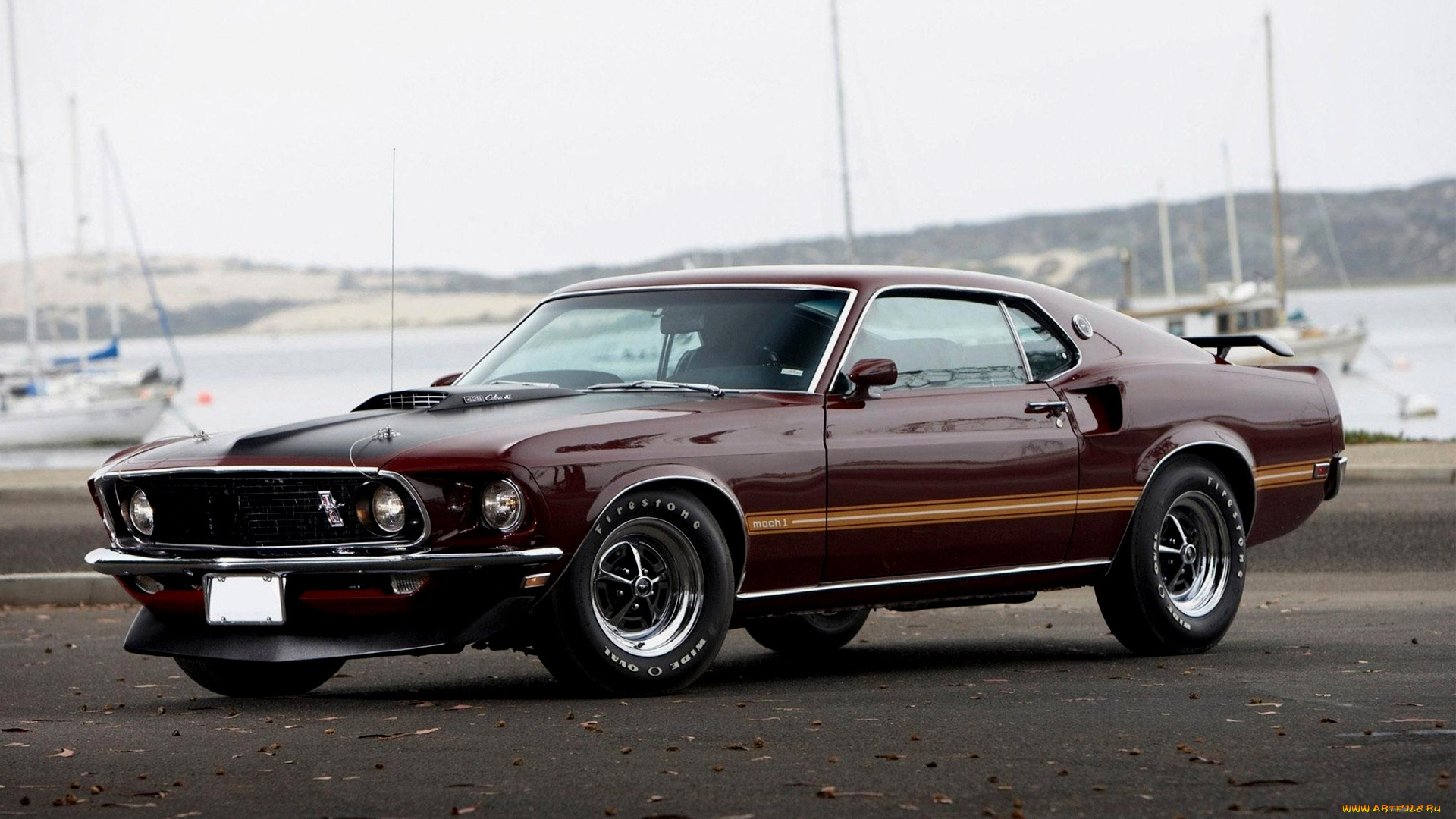 автомобили, mustang