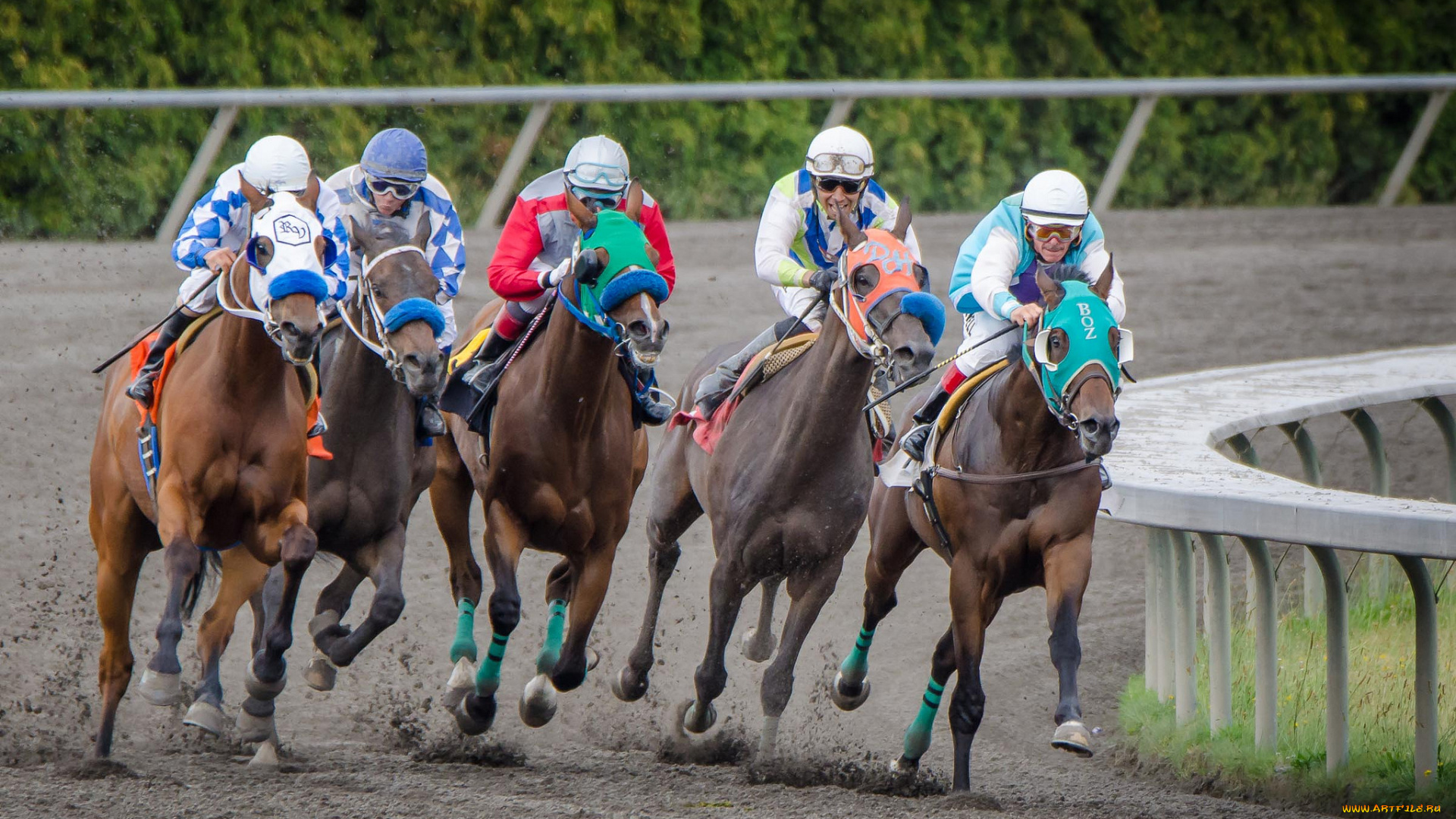 спорт, конный, спорт, скачки, жокей, лошадь, ипподром