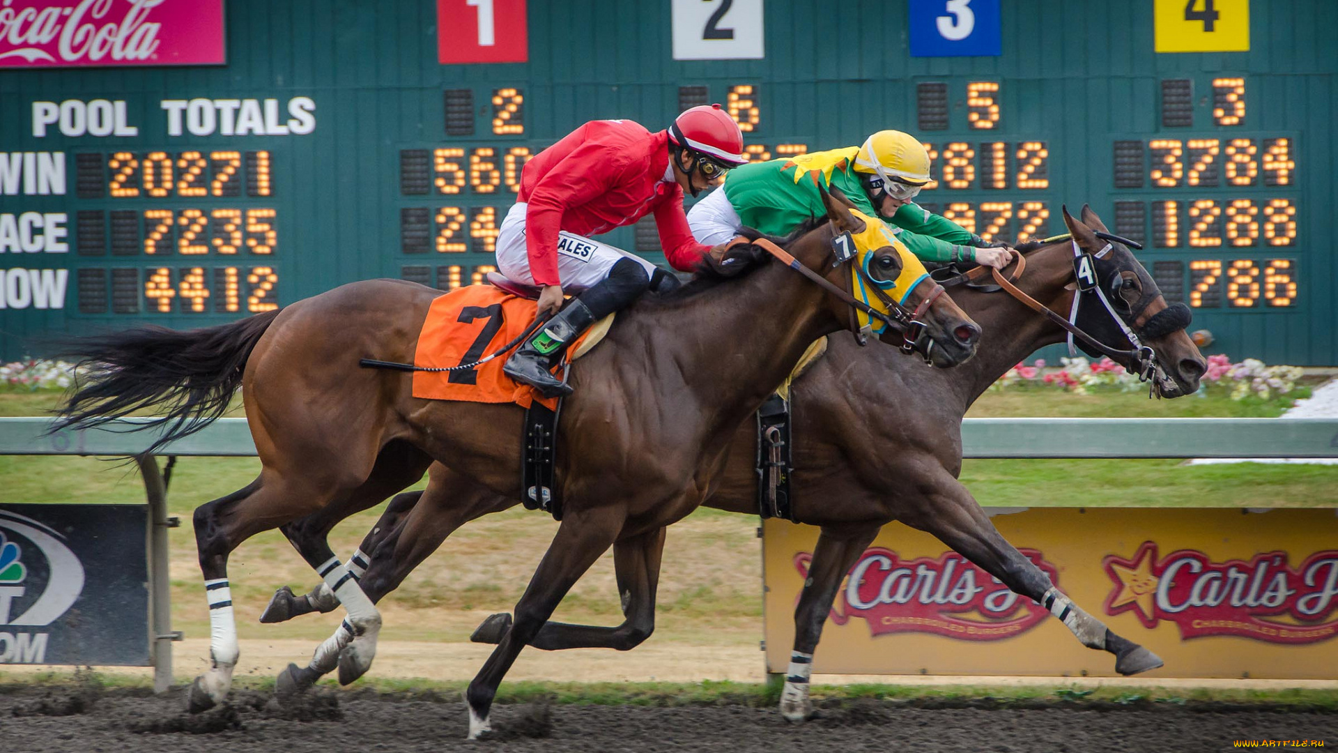 спорт, конный, спорт, скачки, жокей, лошадь, ипподром