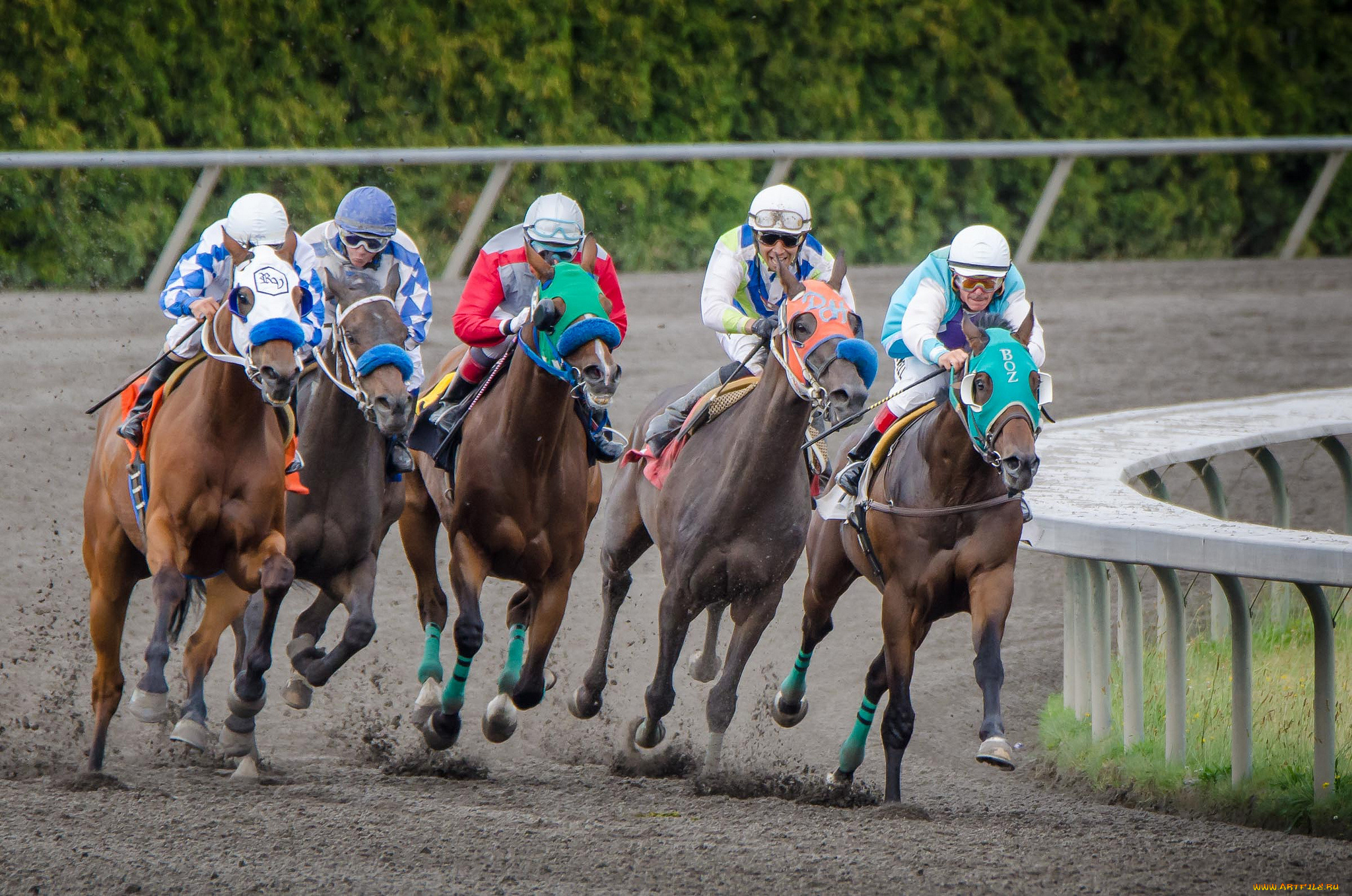 спорт, конный, спорт, скачки, жокей, лошадь, ипподром