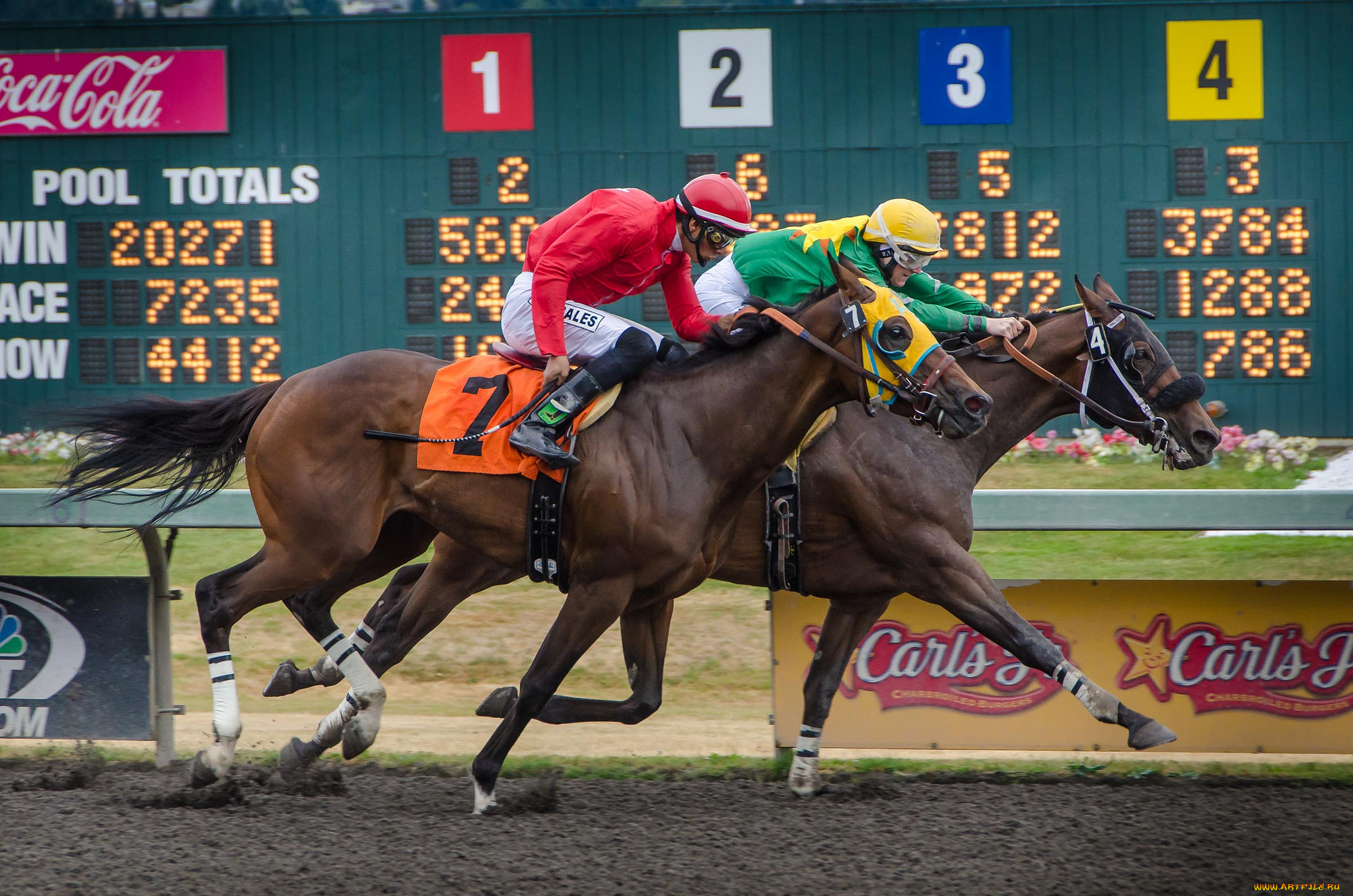 спорт, конный, спорт, скачки, жокей, лошадь, ипподром