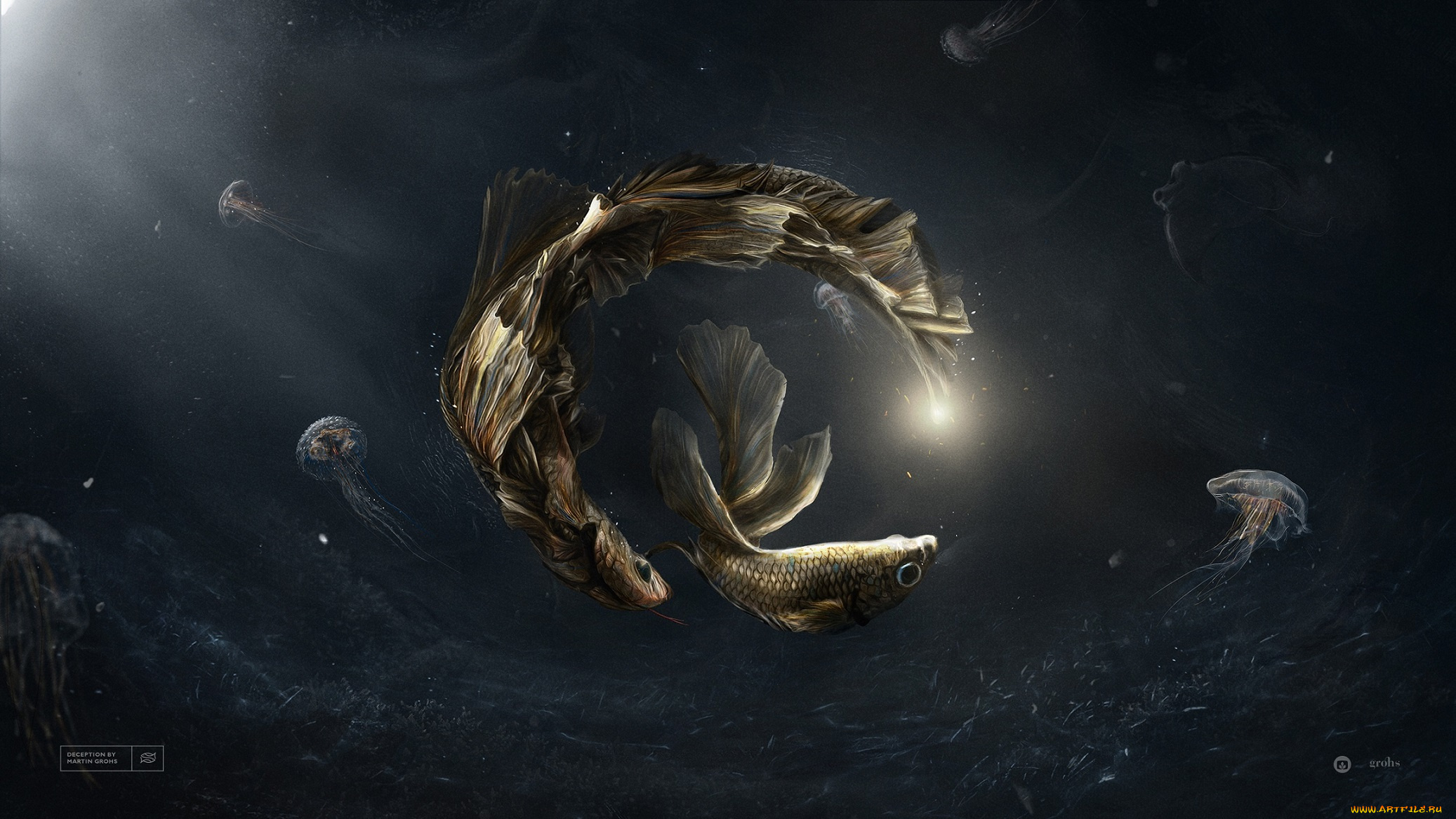 рисованное, животные, , рыбы, свет, медузы, рыбы, grohsartig